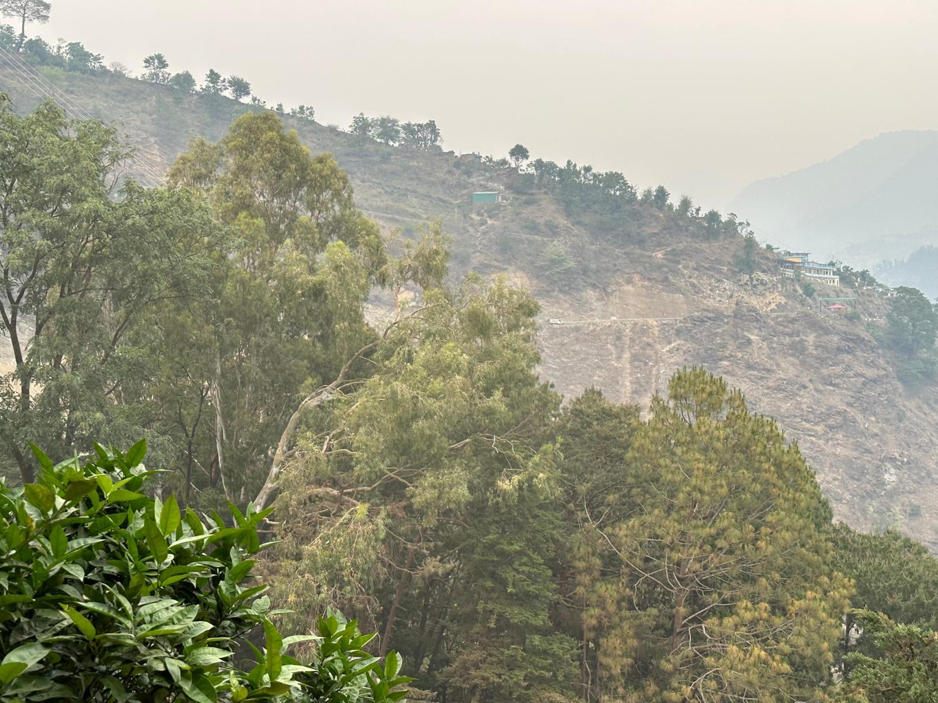 Himalaya Darshan
