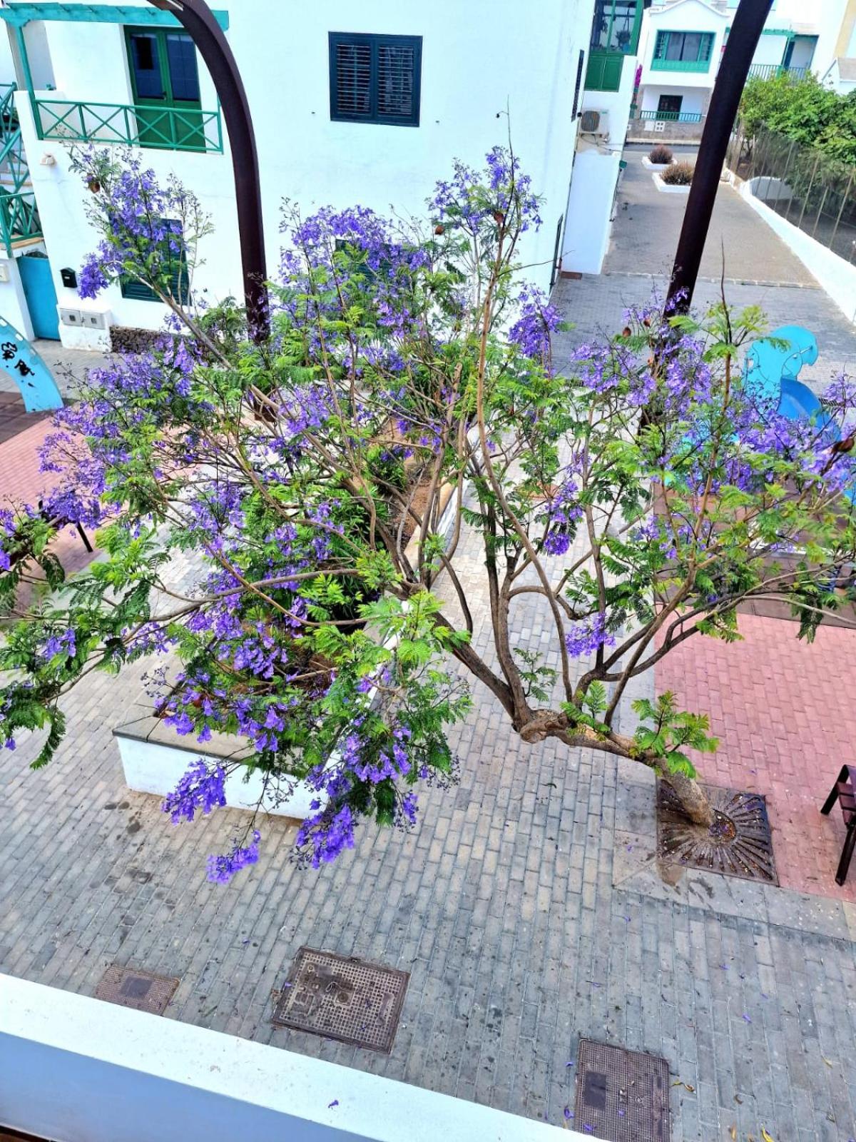 Apartamento Margarita