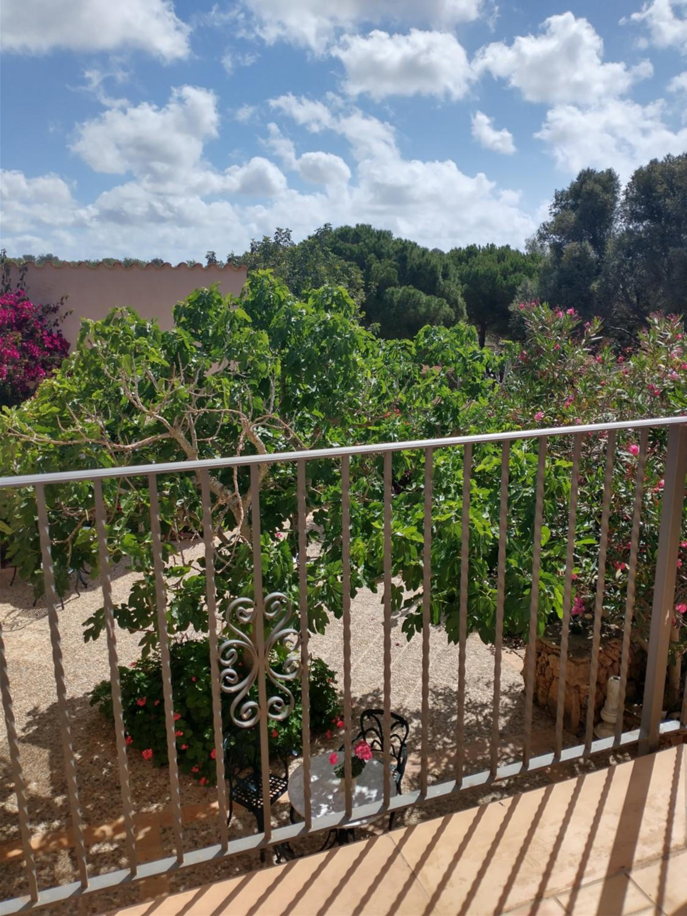 Photo 58