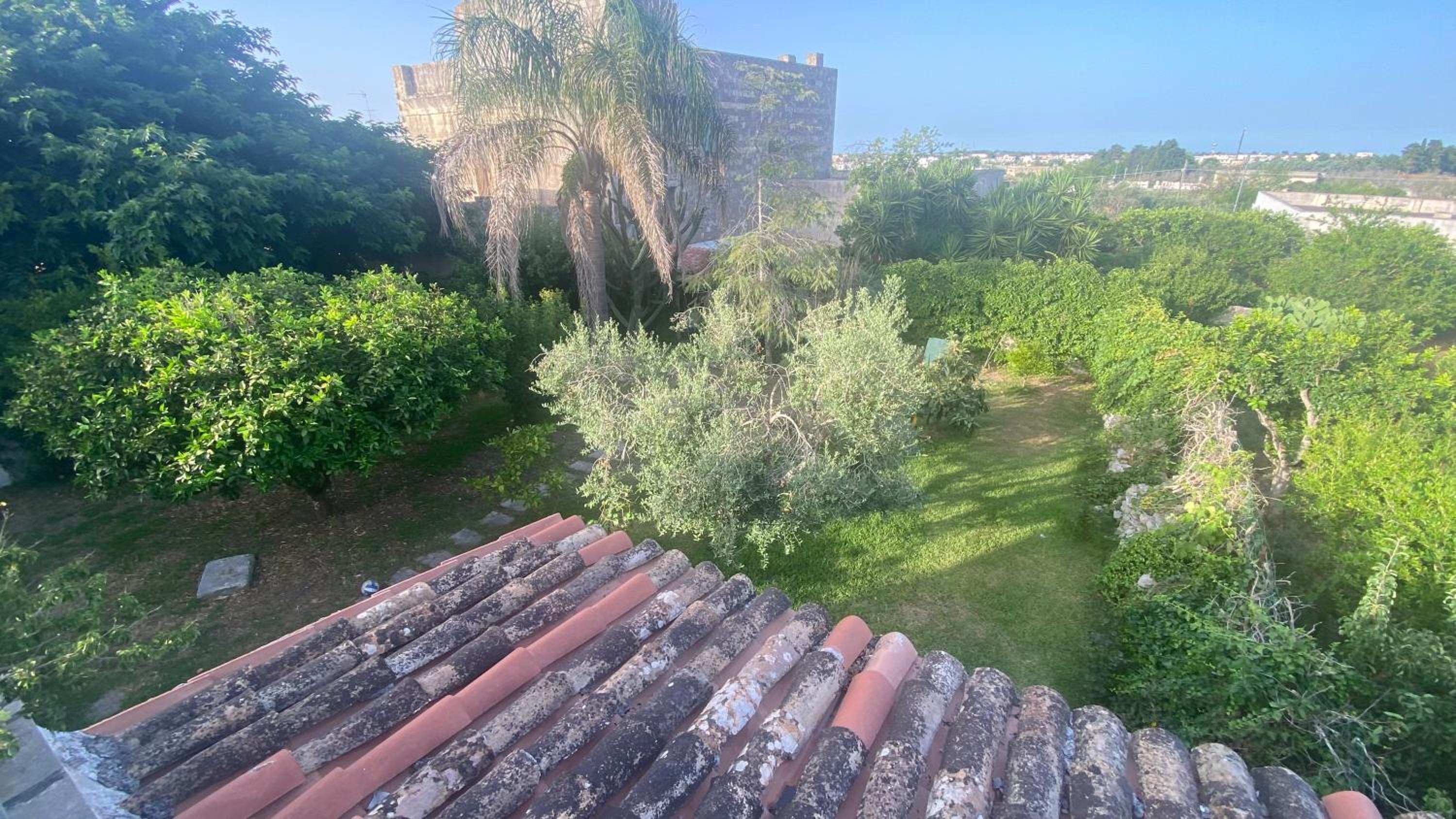 La Civetta