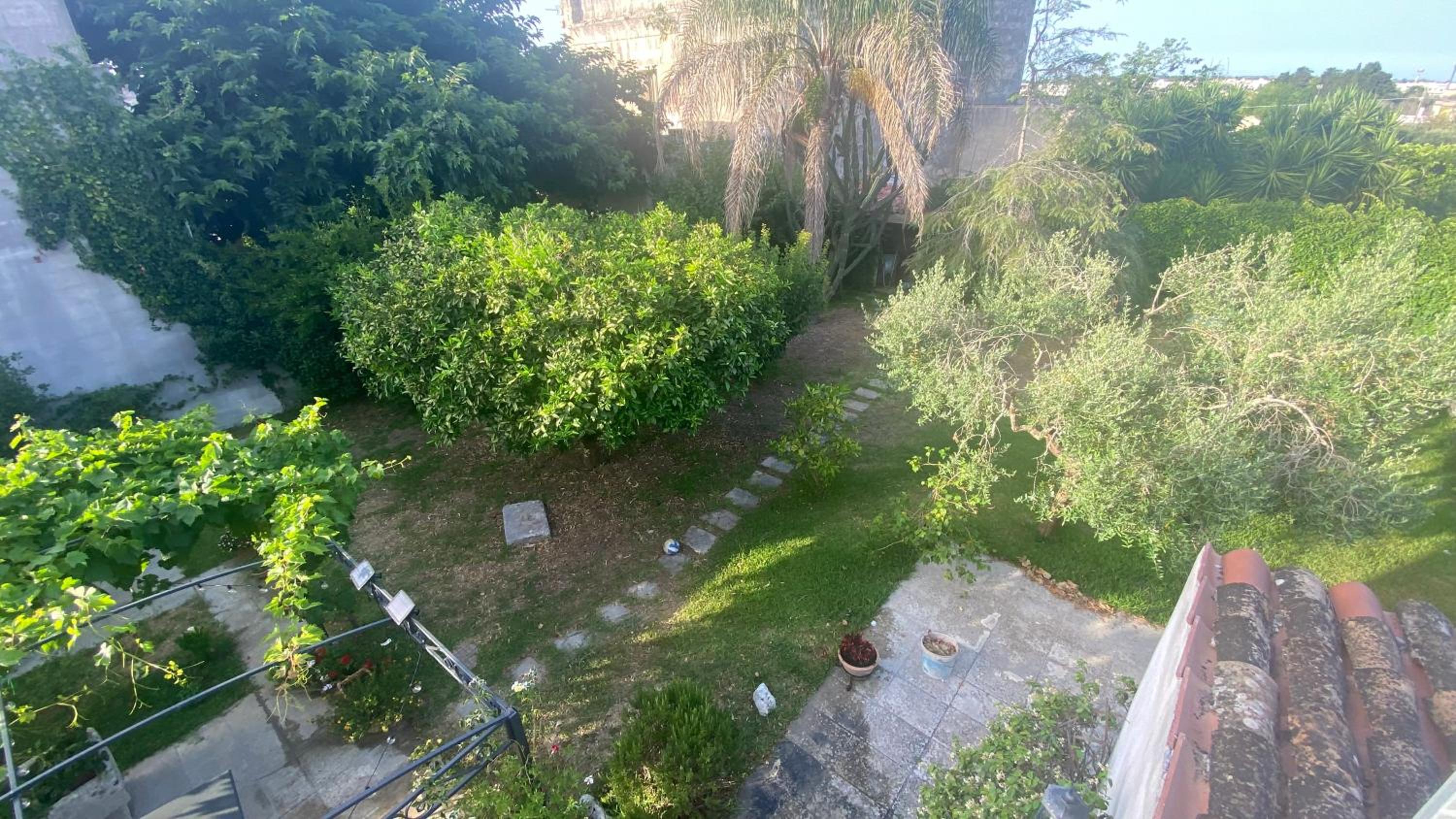 La Civetta