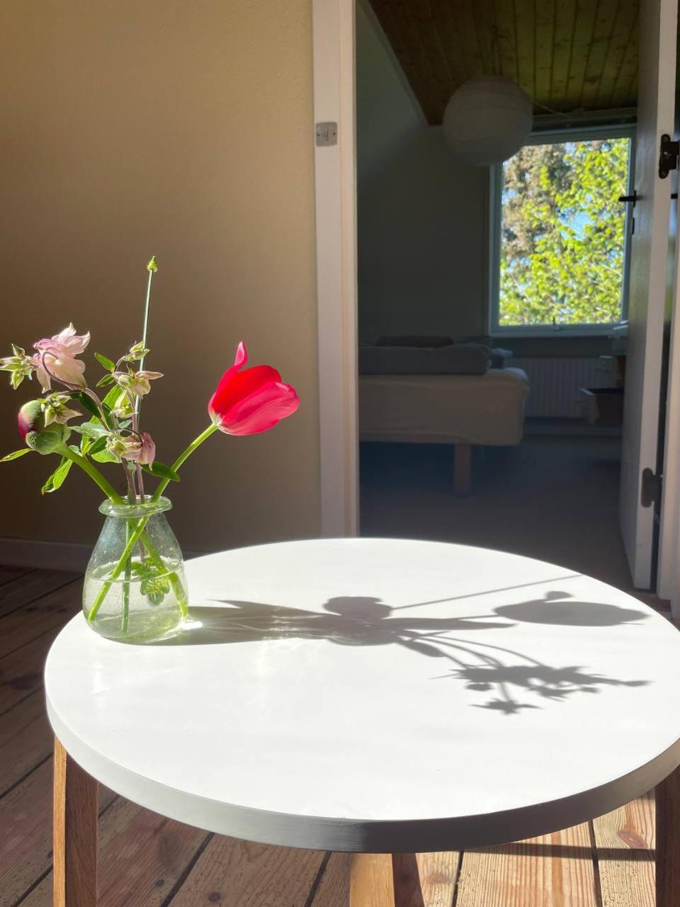 Homestay in charming house on the countryside