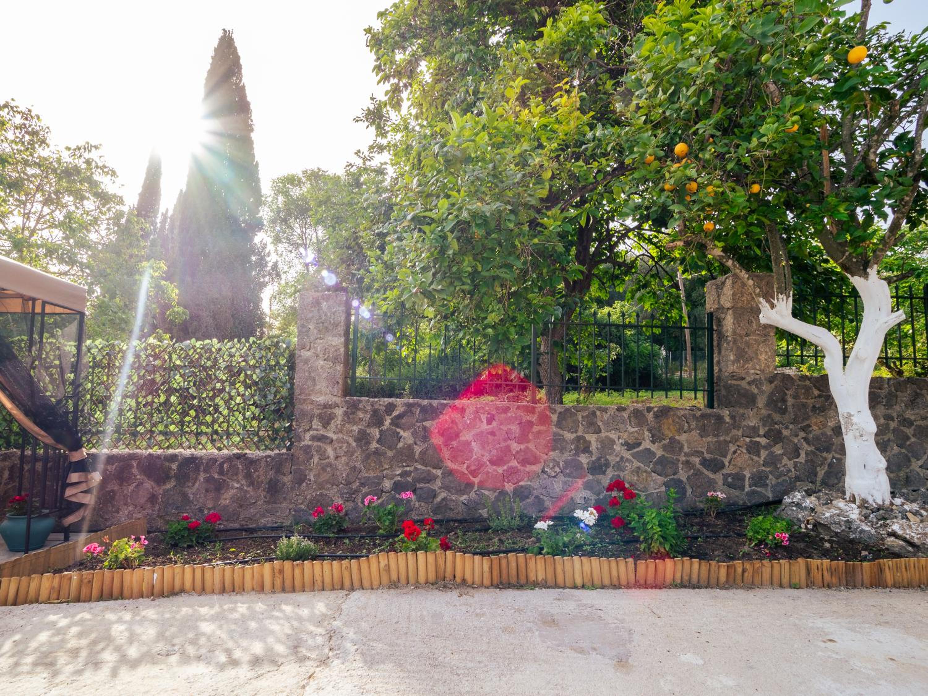 Villa Theodore photo 3