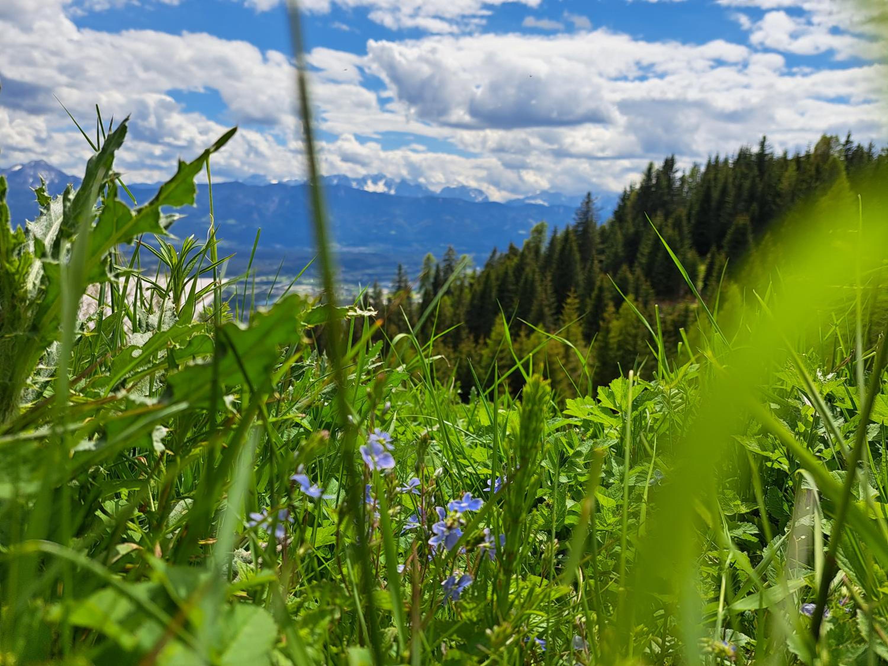 Gerlitzen Berg- und Seenurlaub