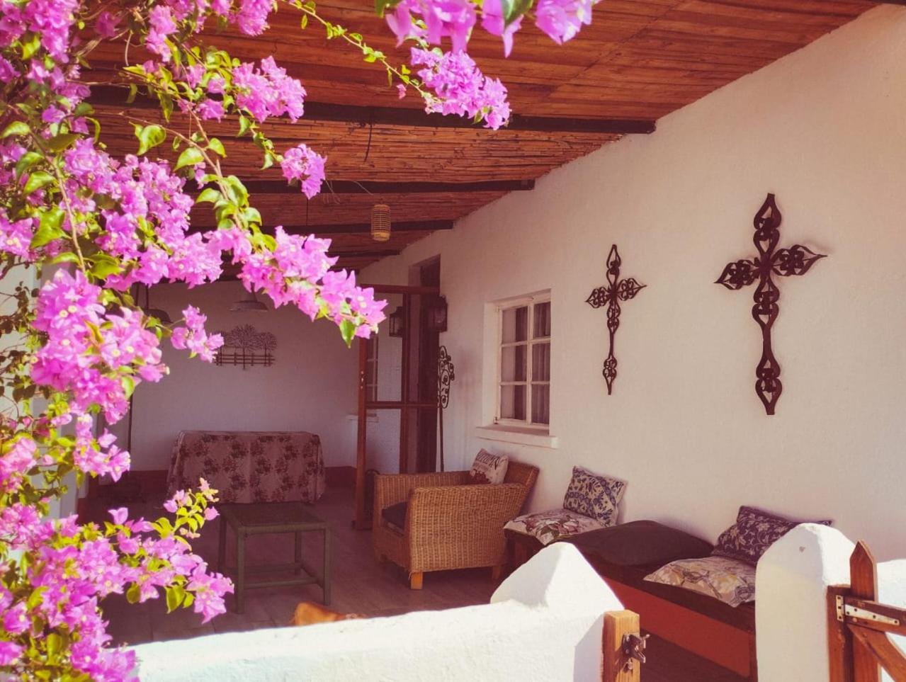 Romantic Vintage Cottage, Views across vineyards.