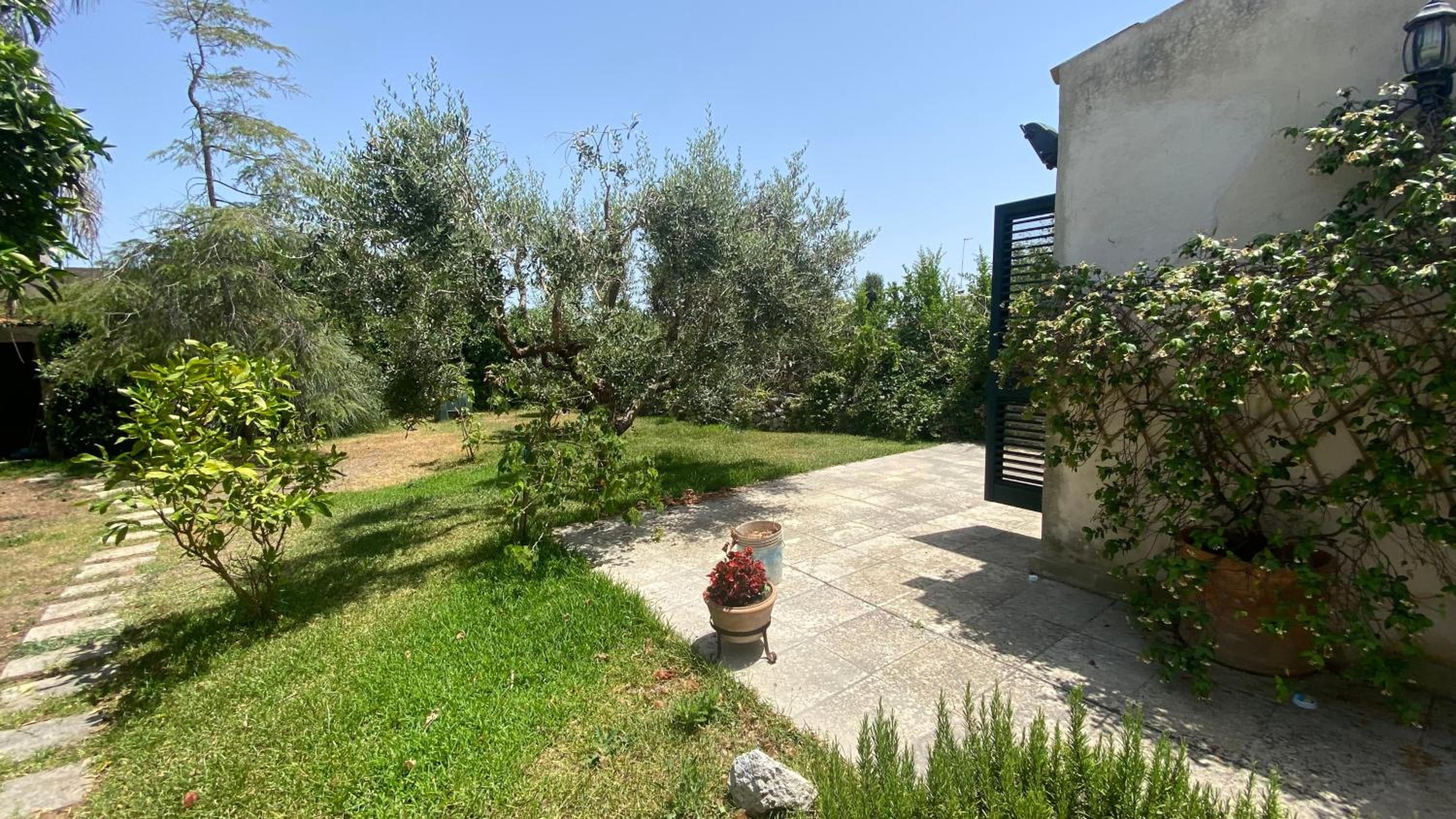 La Civetta
