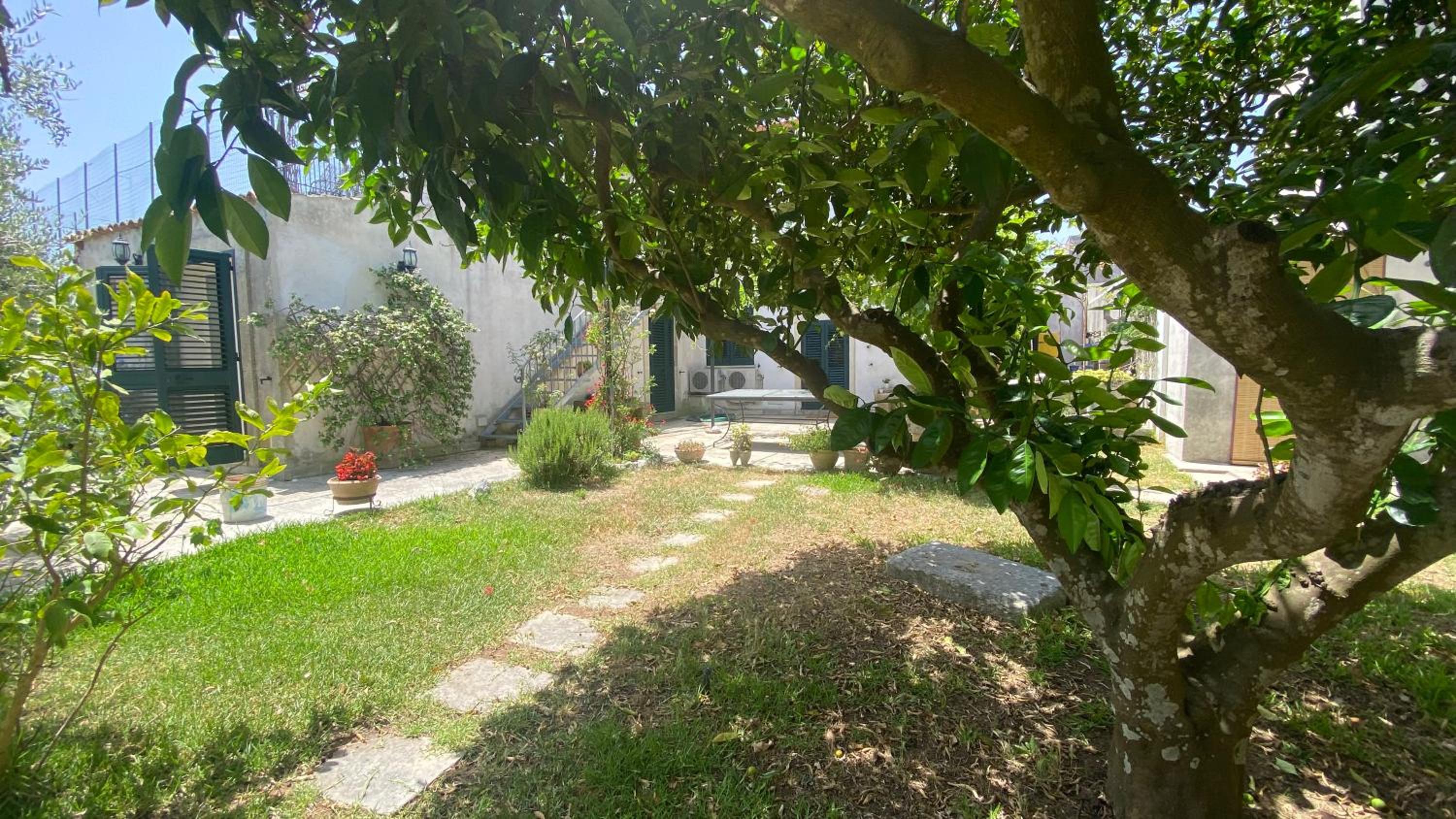 La Civetta