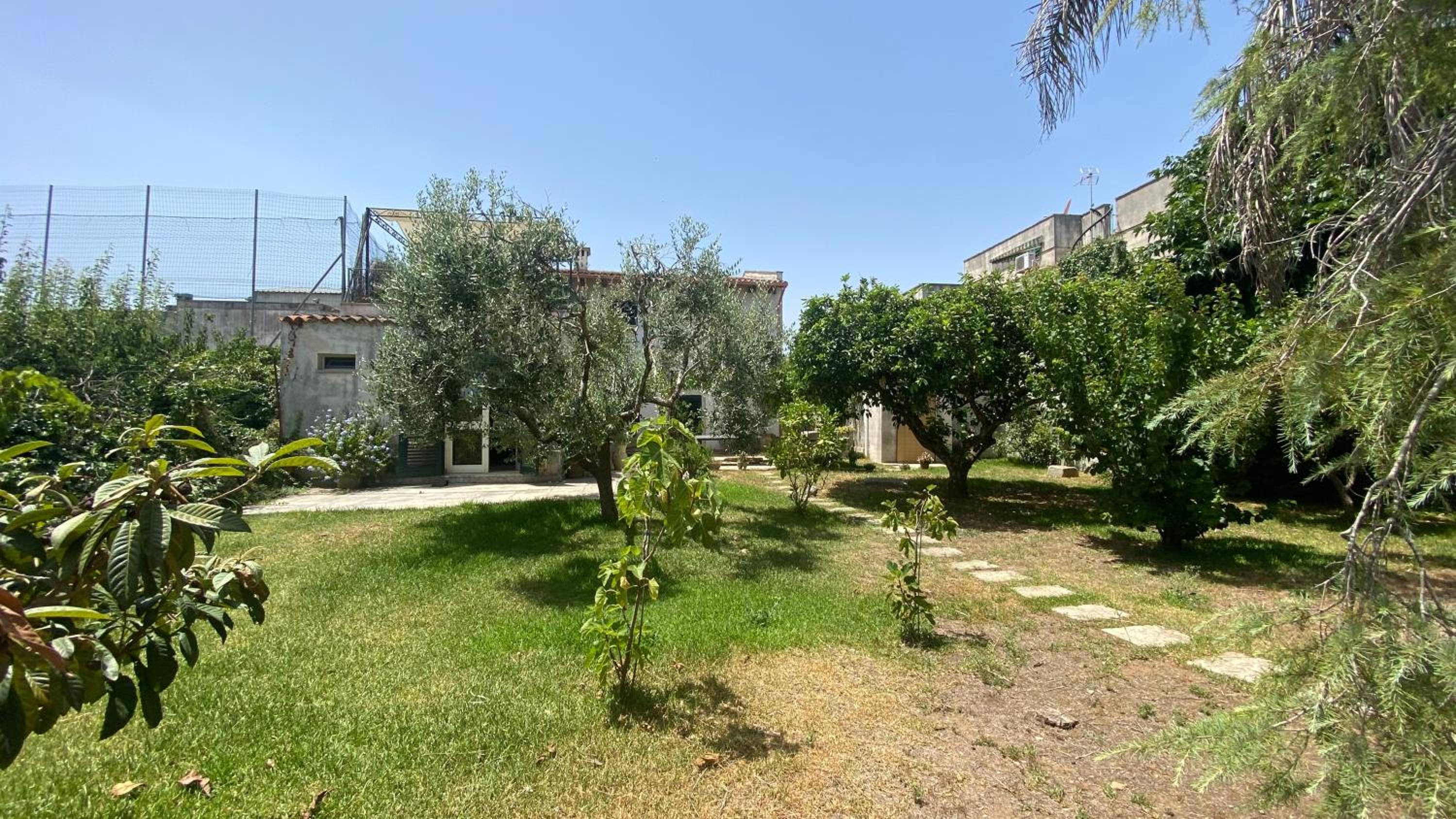 La Civetta