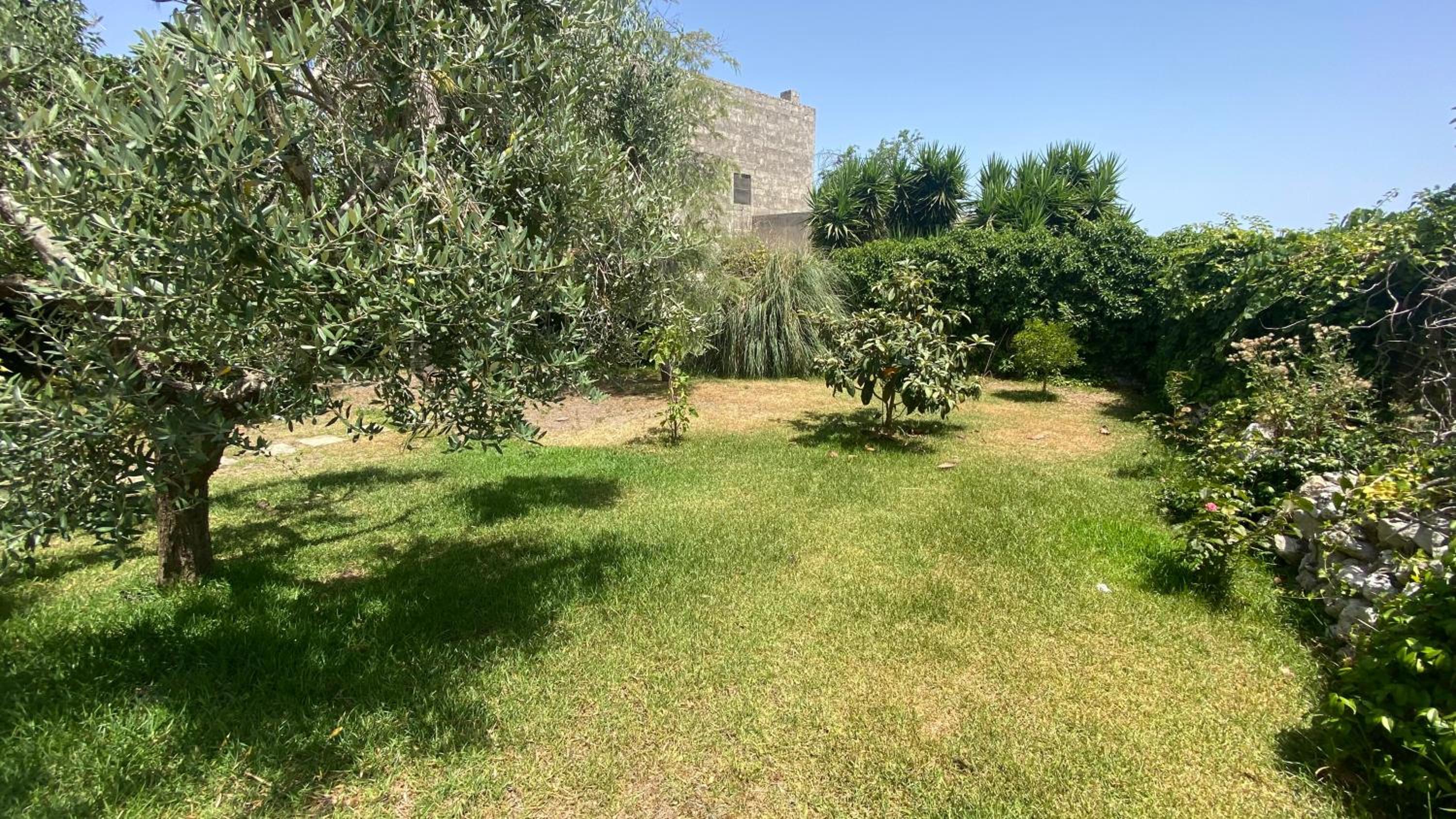 La Civetta