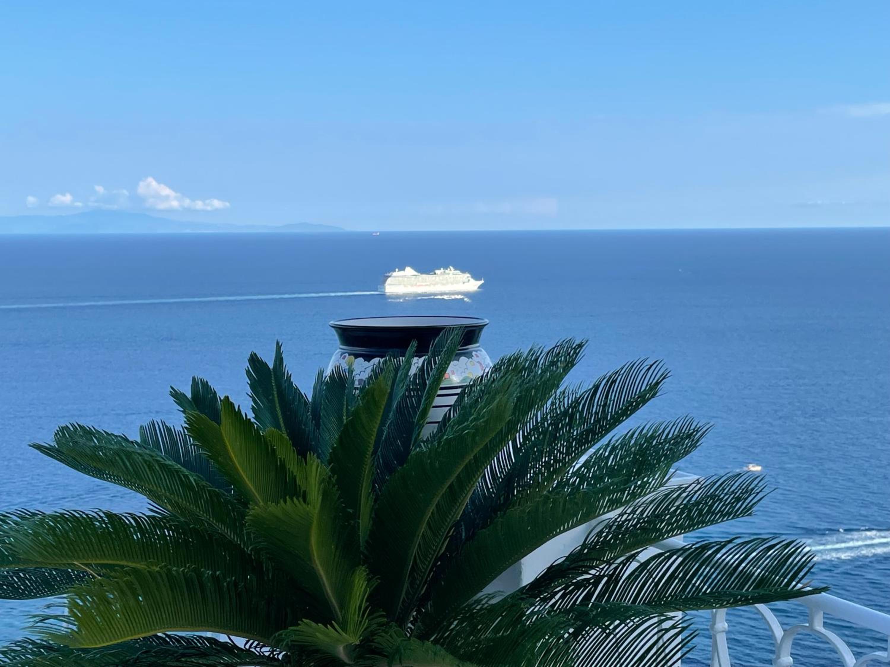 PENELOPE13SUITE photo 3