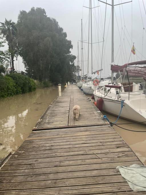 Ático Arriba del Guadalquivir