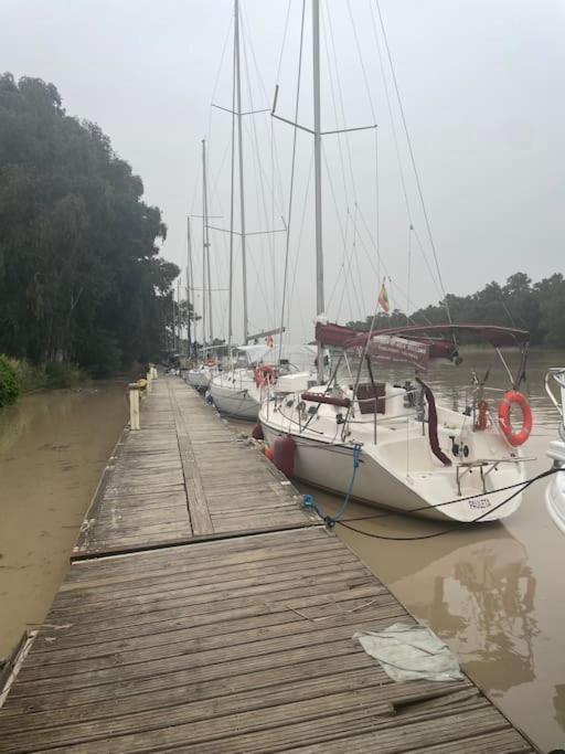 Ático Arriba del Guadalquivir
