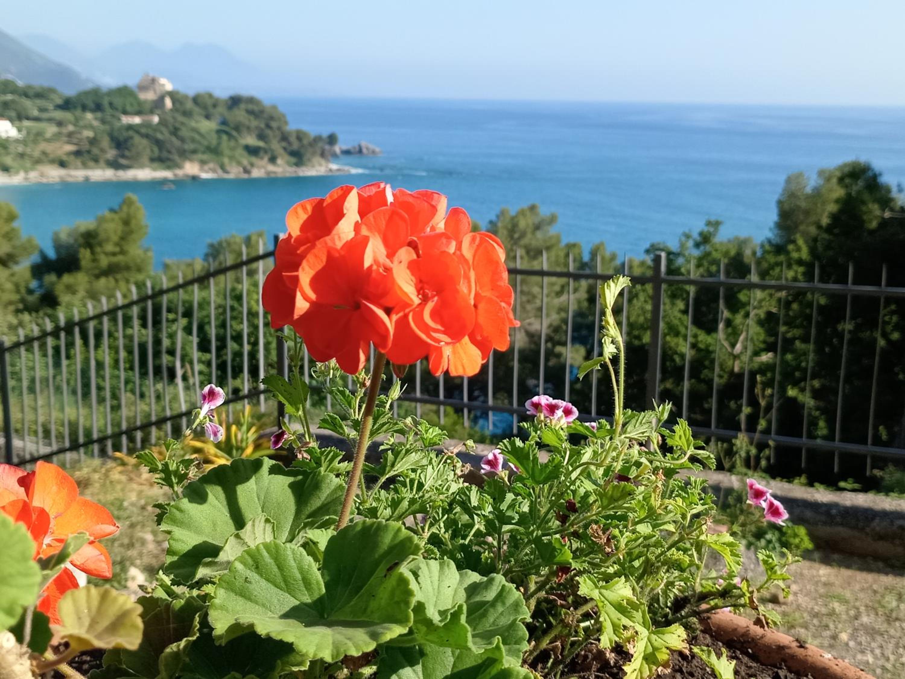 Villa Eminenza