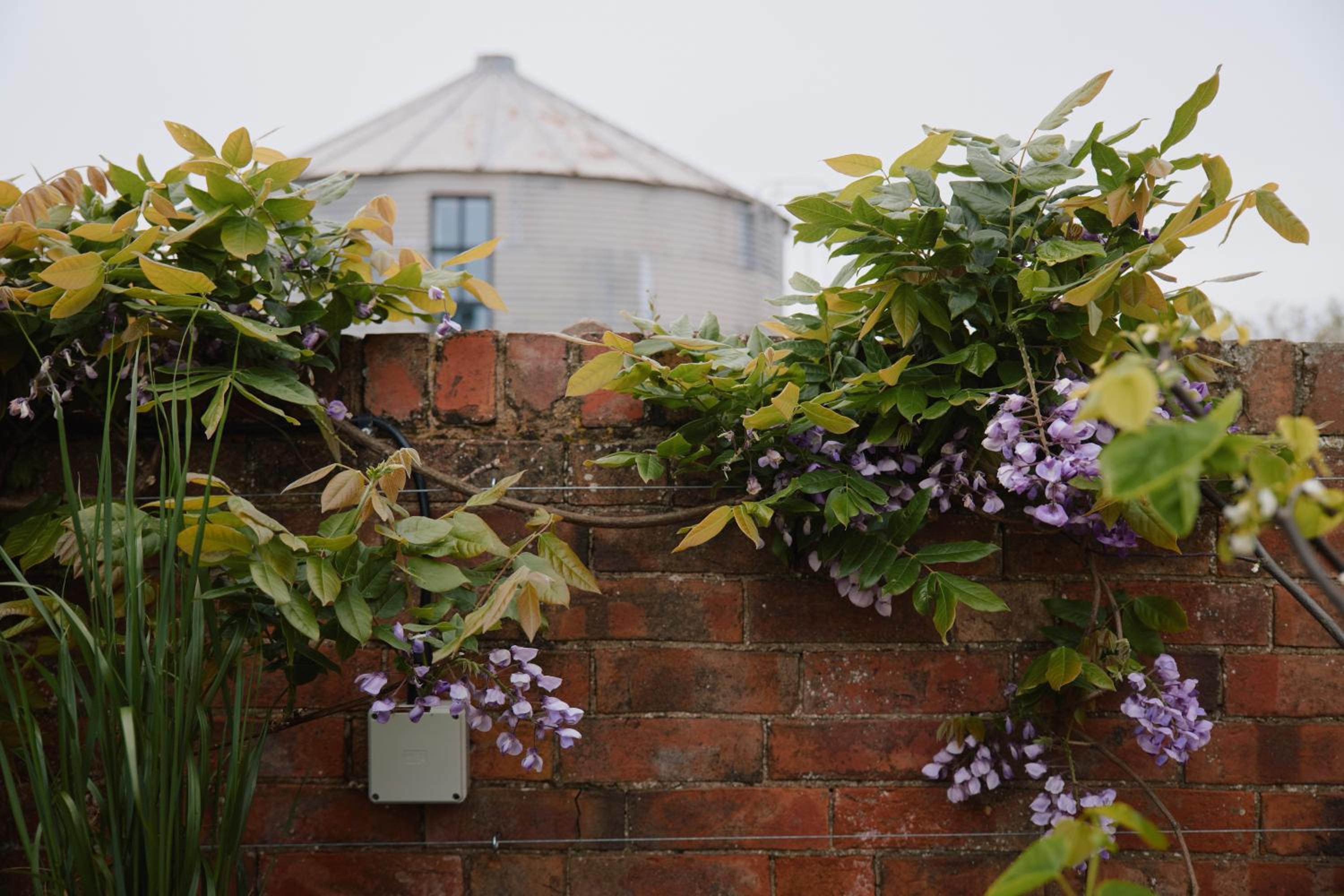 Freya's Farmhouse