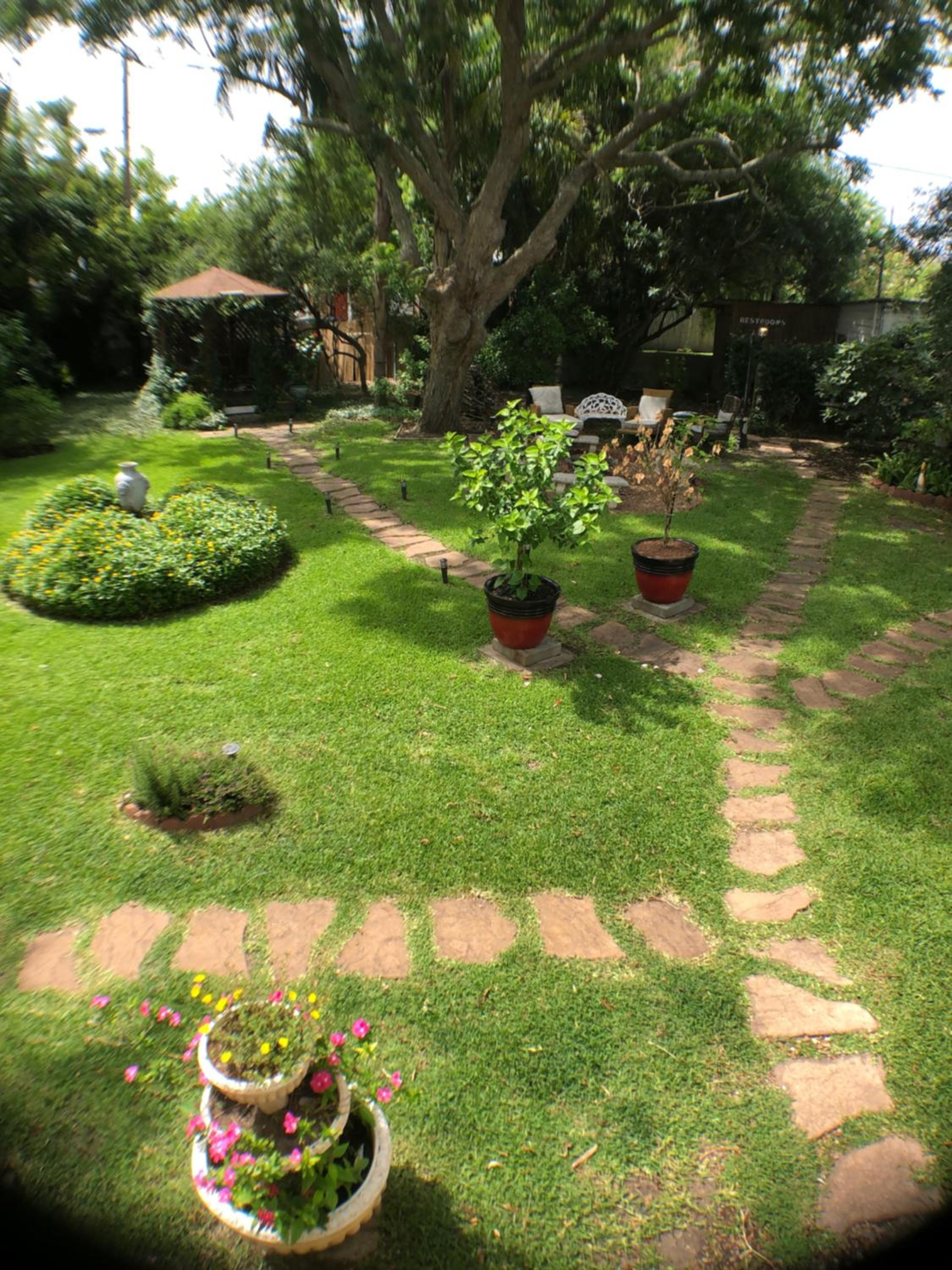 Photo 7