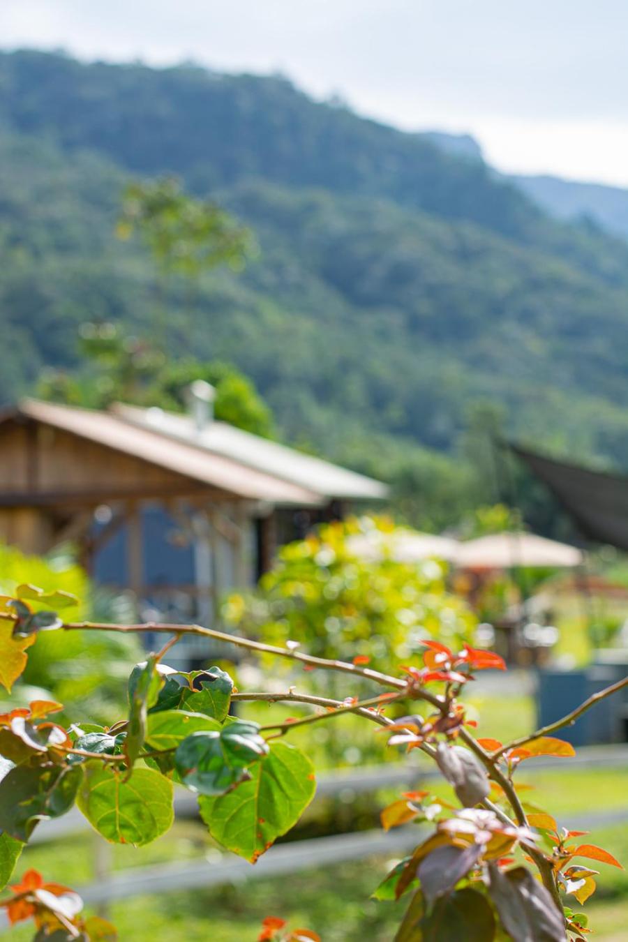 Glamping família - Rancho Perene