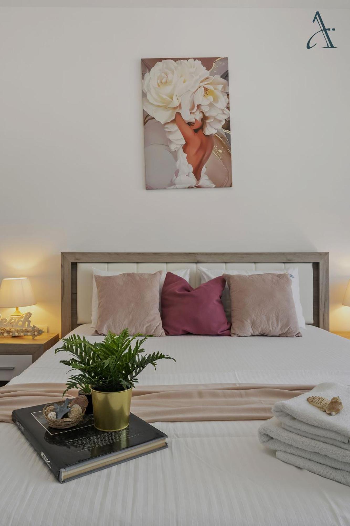 Dream Place 1BDR Apartment