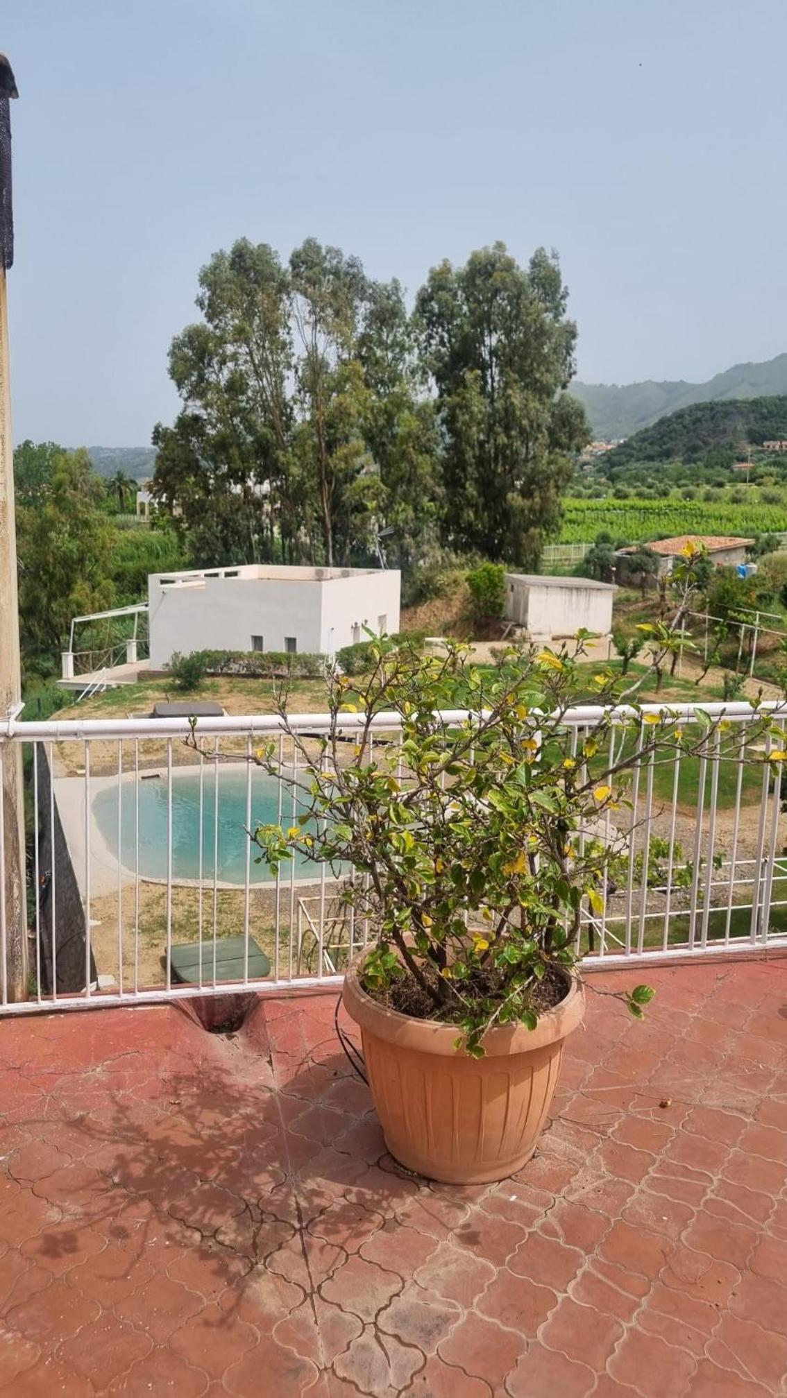 Villa Elvira Country House, photo 66
