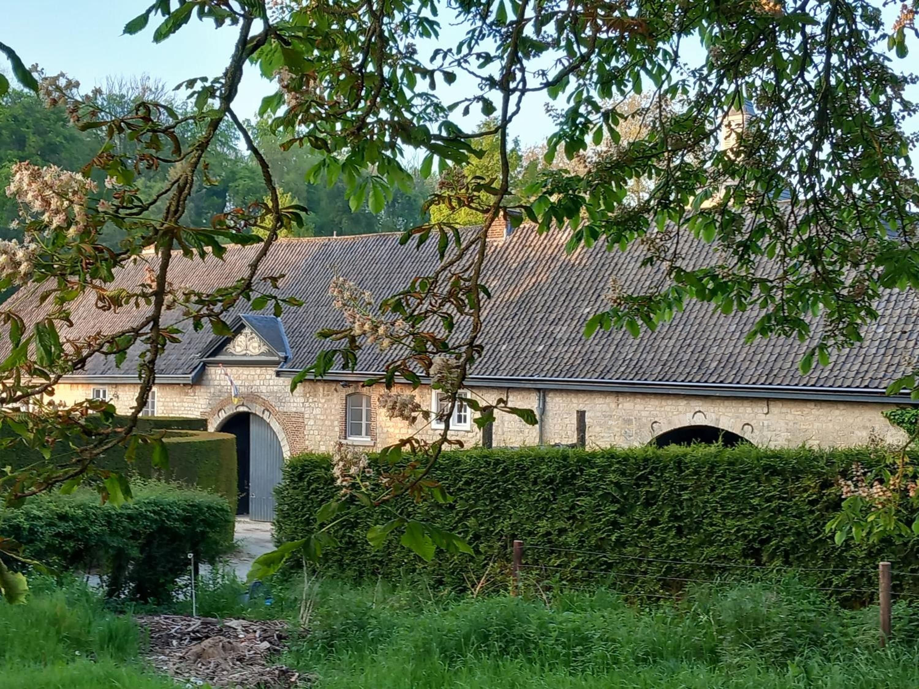 Photo 17