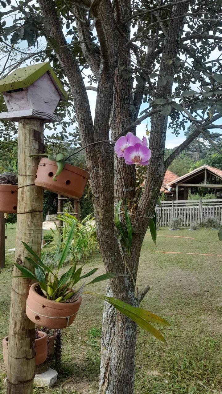 Recanto das Flores view 5