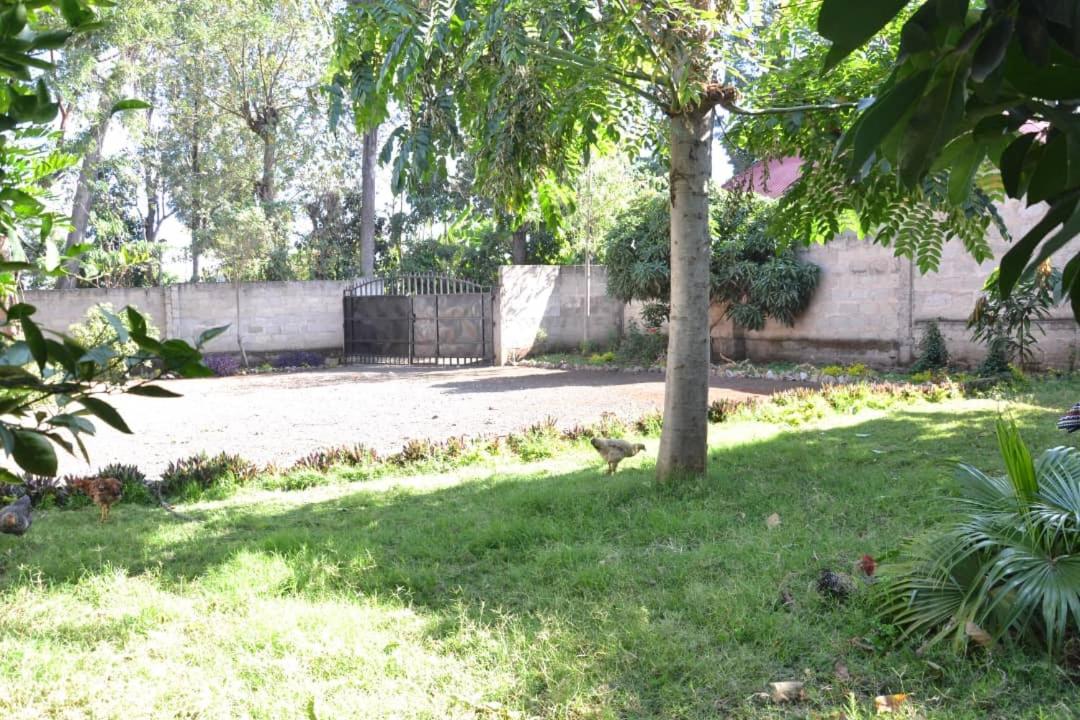 Salama House view 4