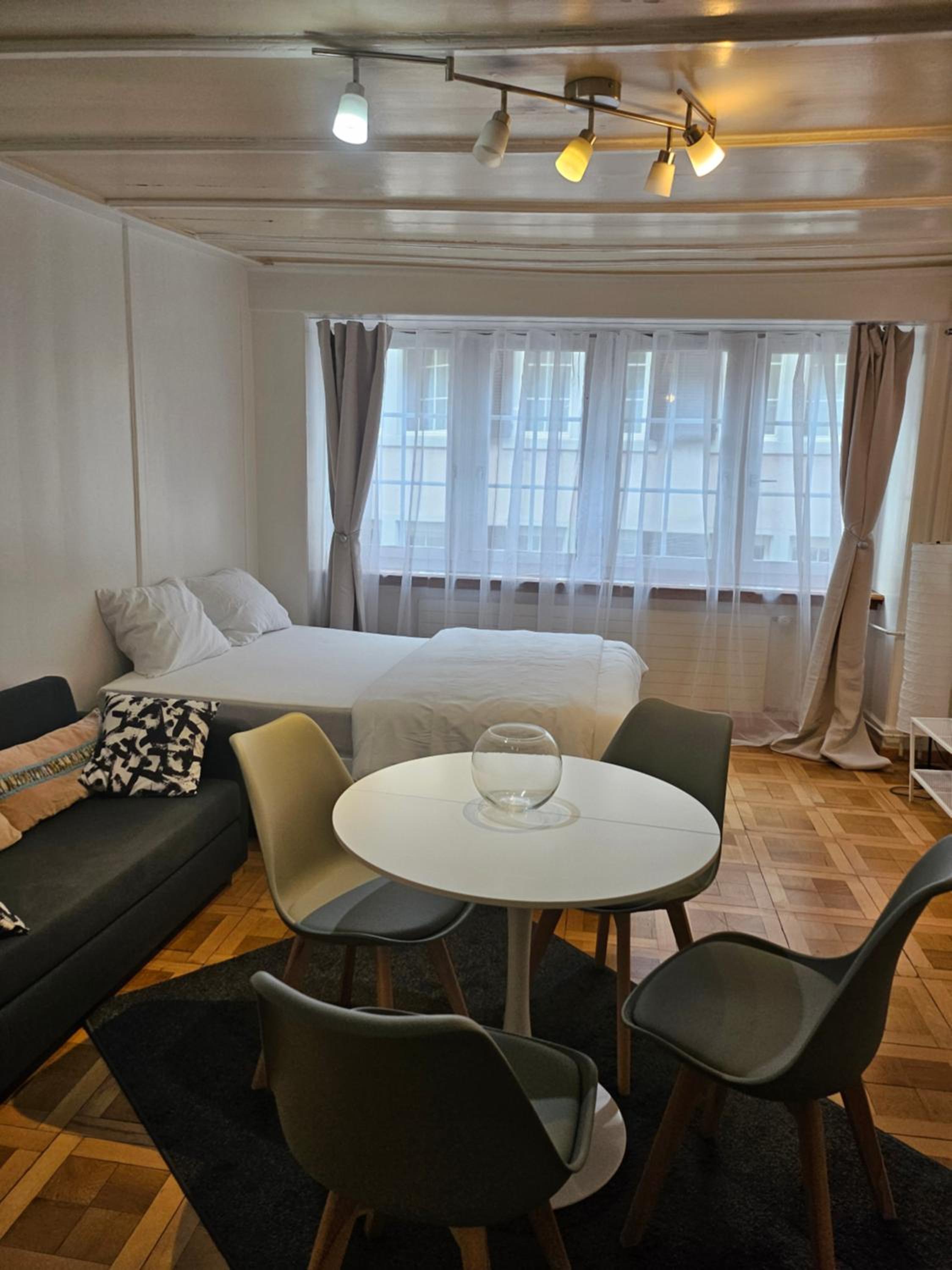 City Center Apt With AC in Zurich Old Town