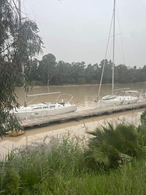 Cambridge del Guadalquivir