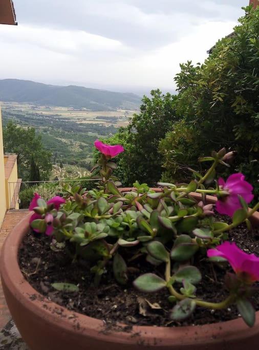 Il Ponticello Cortona