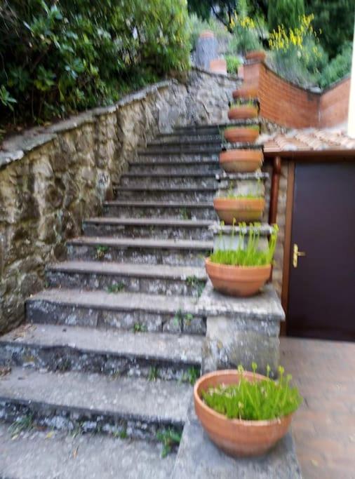 Il Ponticello Cortona