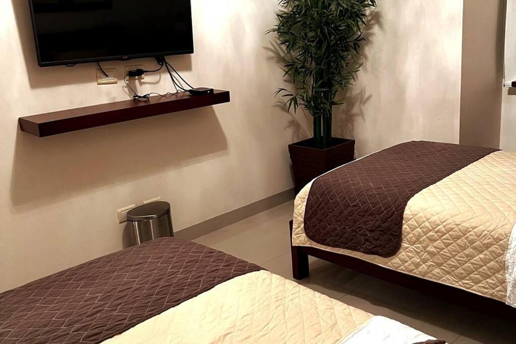 Apartamento de Lujo 3 dormitorios, con amplio Balcon cerca de Plaza Blacutt