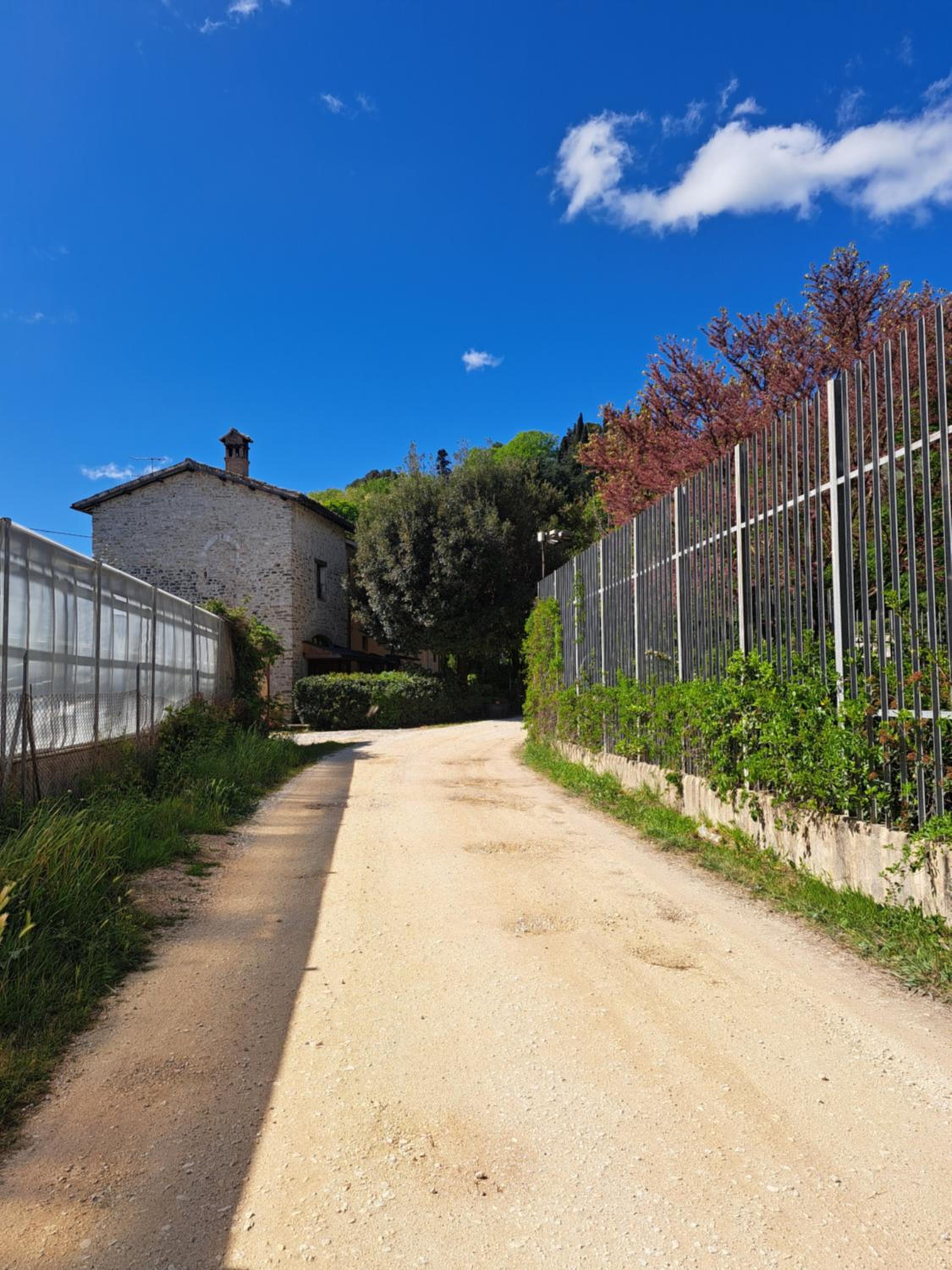 Spoleto - La Foresteria view 4