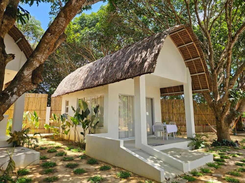 Lio Palm Villas view 5