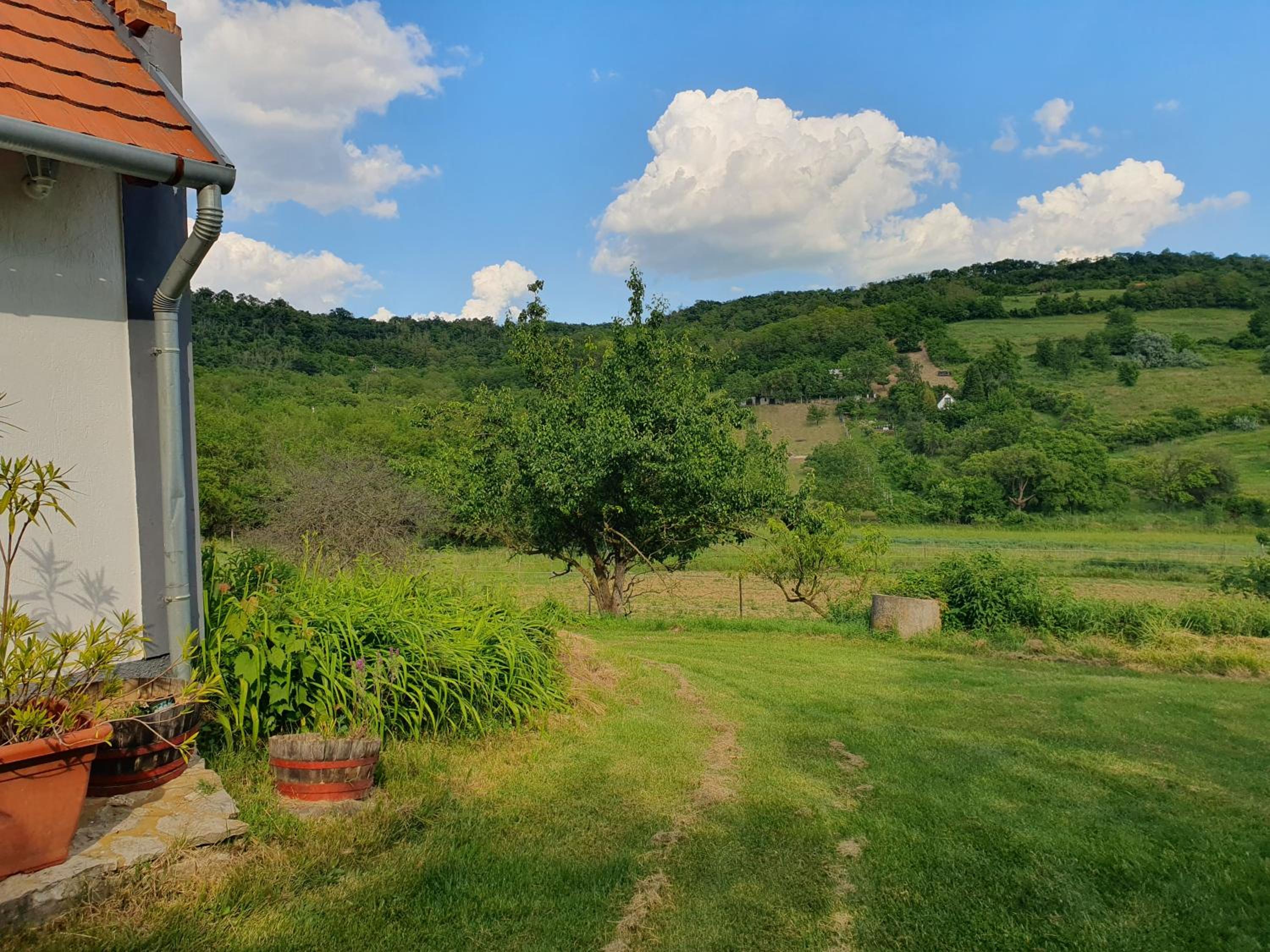 Bácshegyi Vendégház 1 view 2