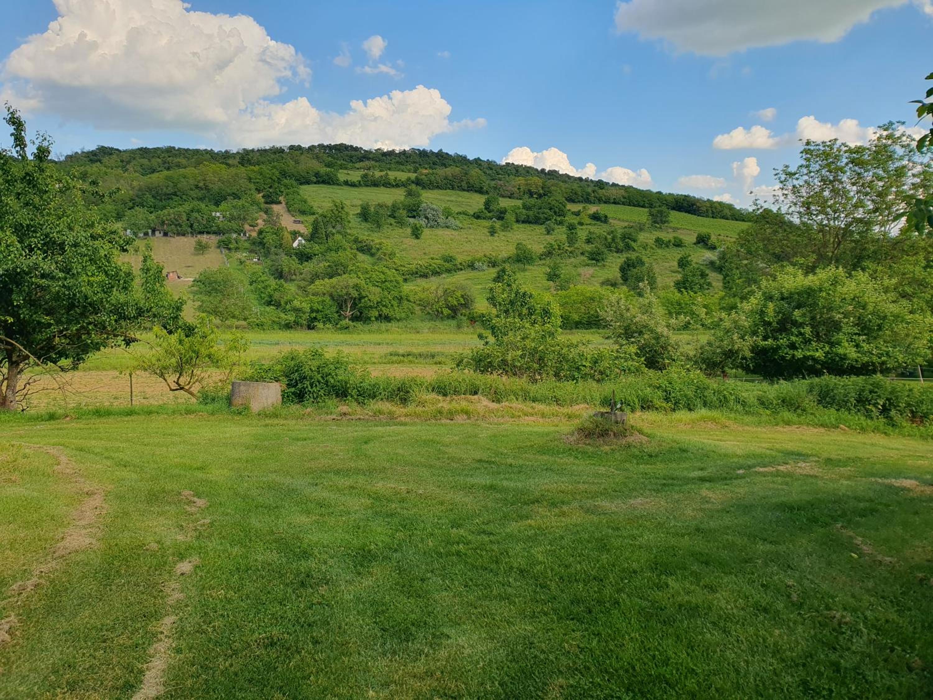 Bácshegyi Vendégház 1 view 3