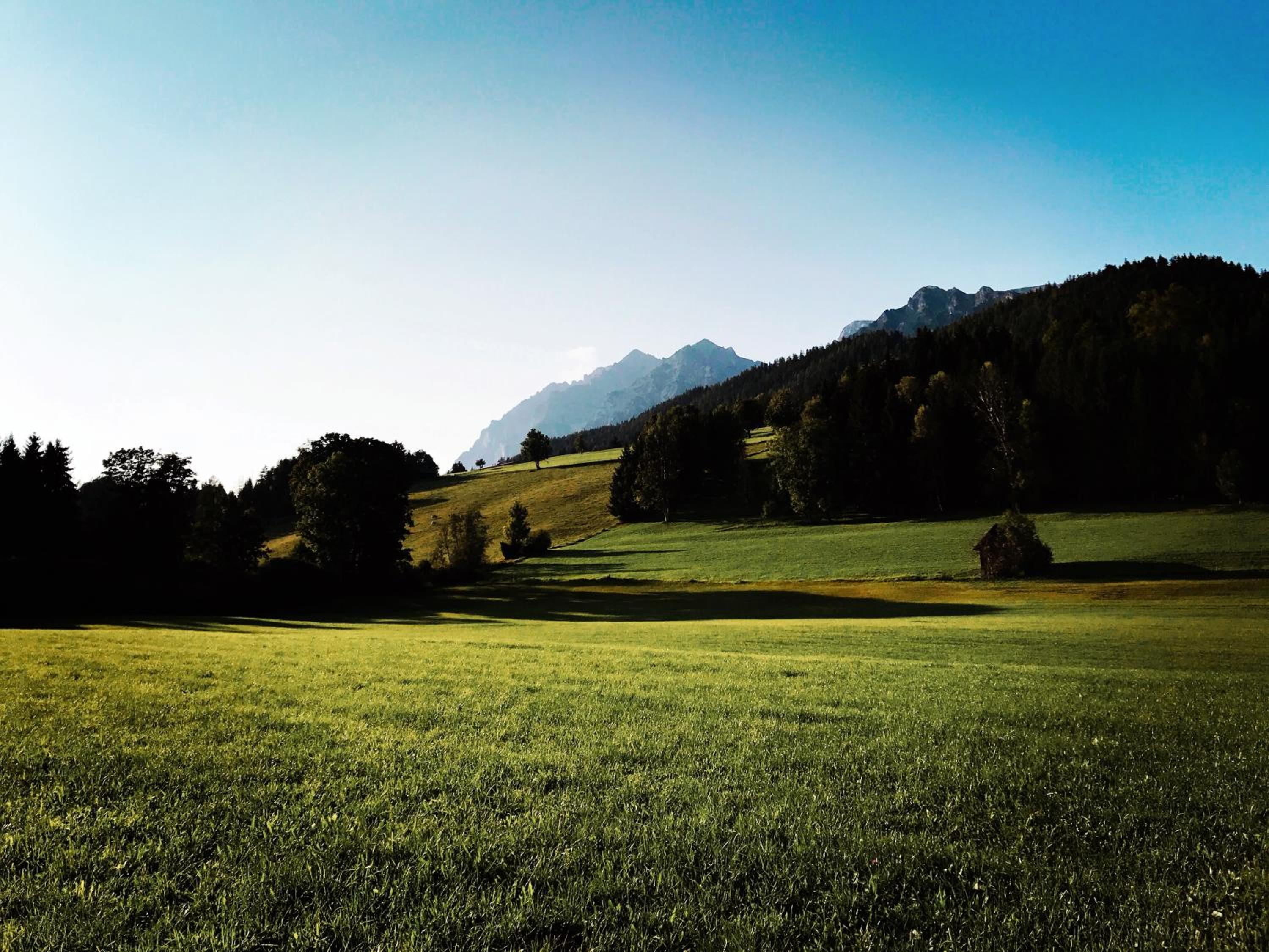 CHILLHAUS Pear Mountain by AA Holiday Homes