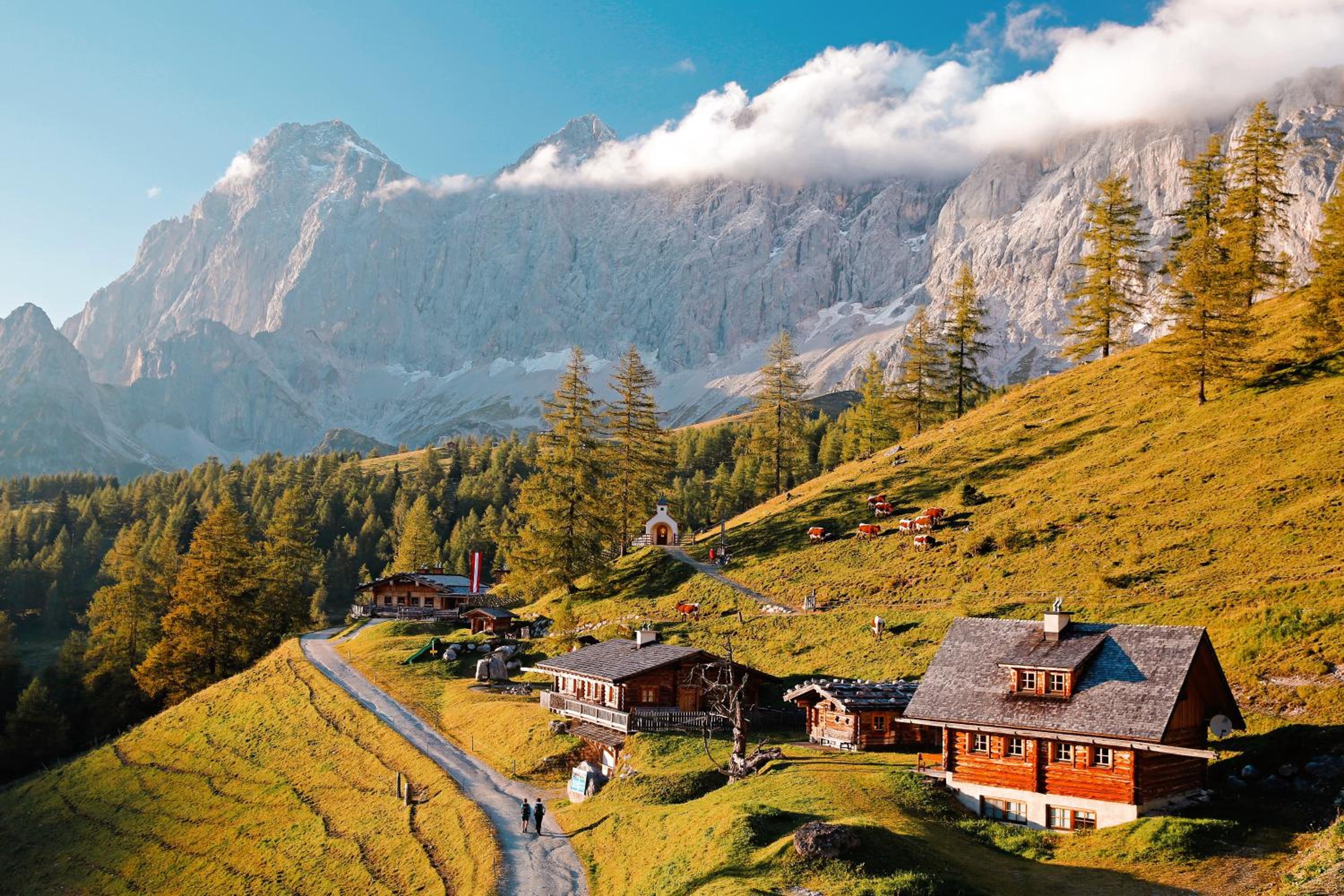CHILLHAUS Pear Mountain by AA Holiday Homes
