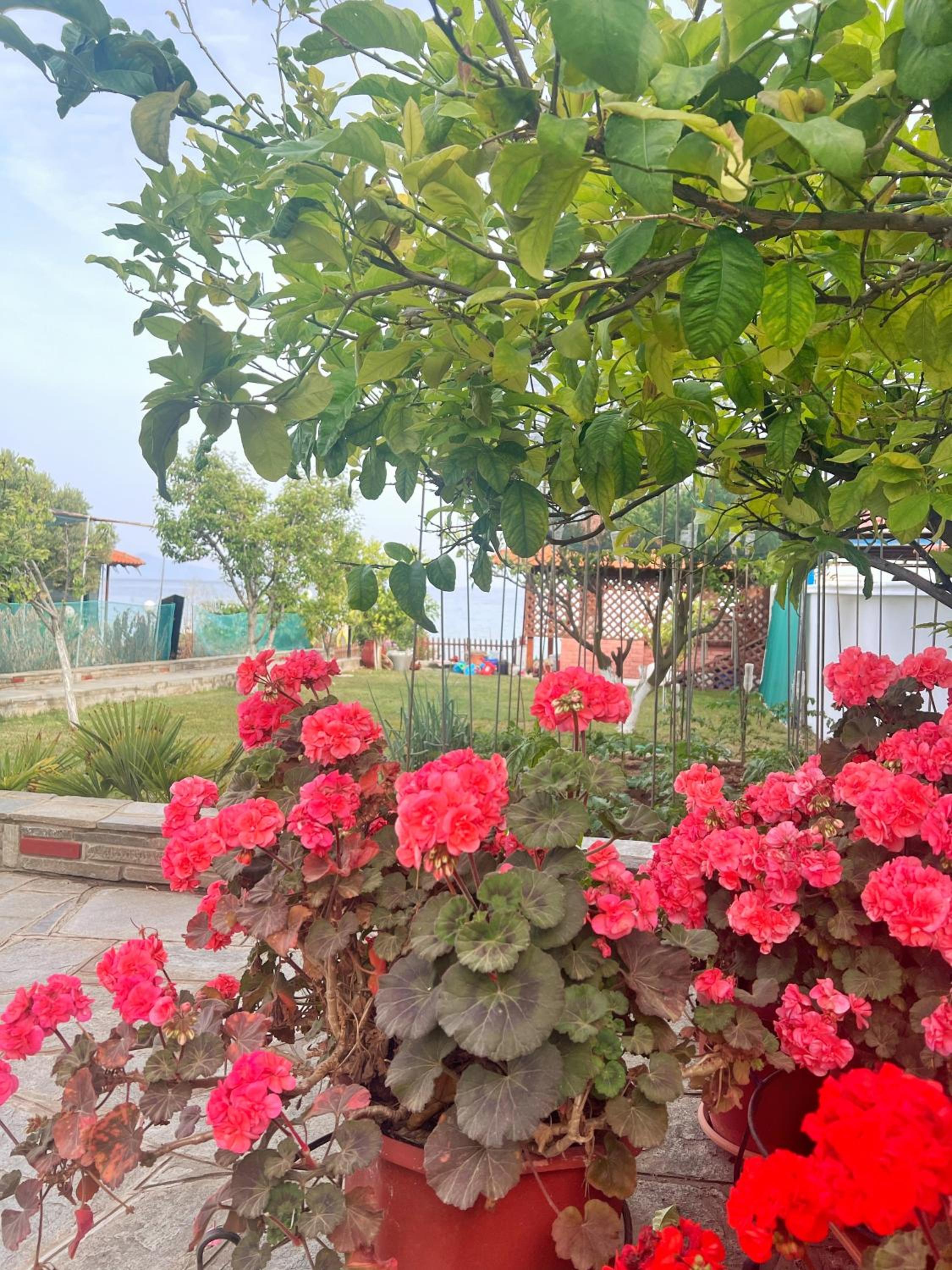 Villa VaLenia