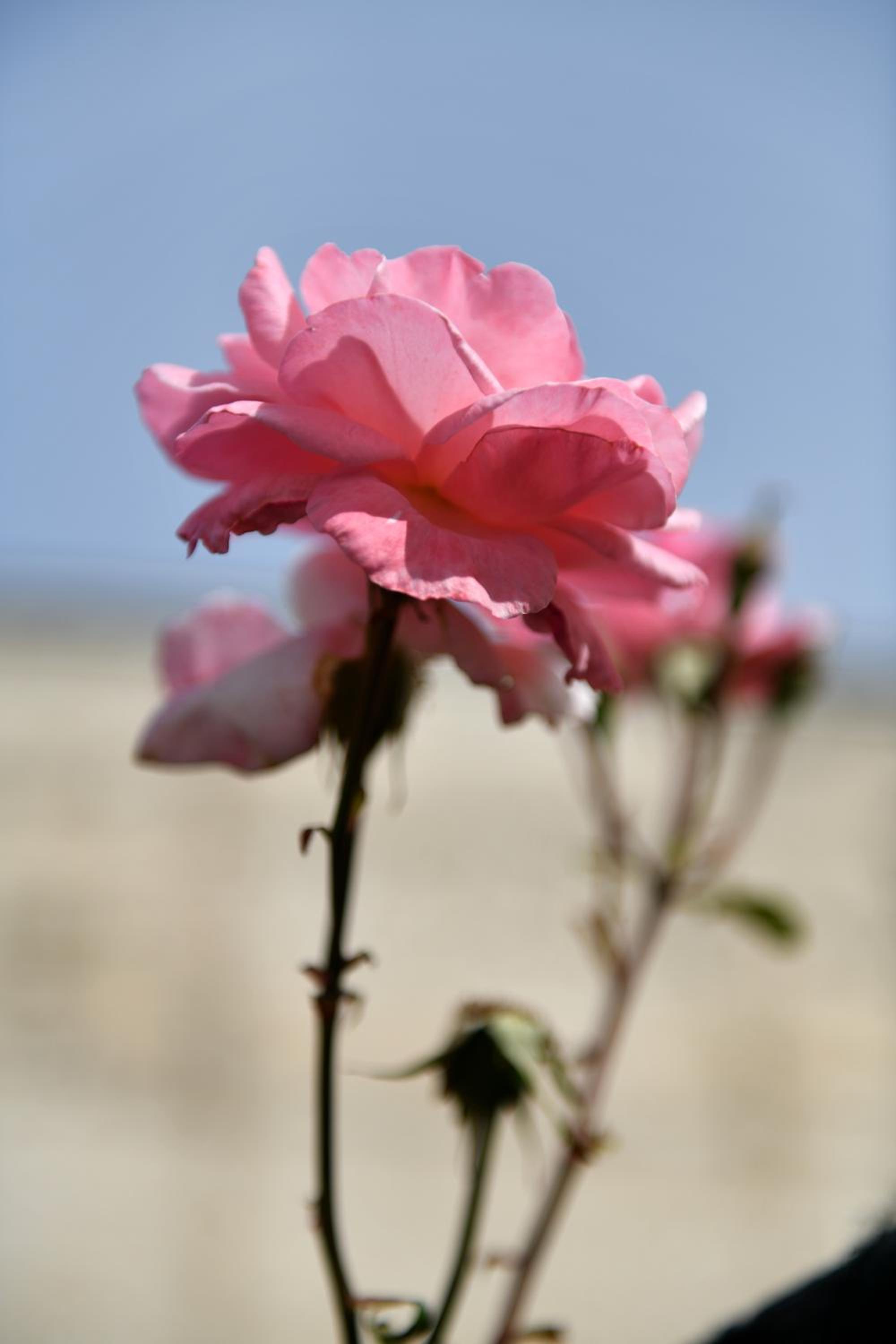 Photo 33