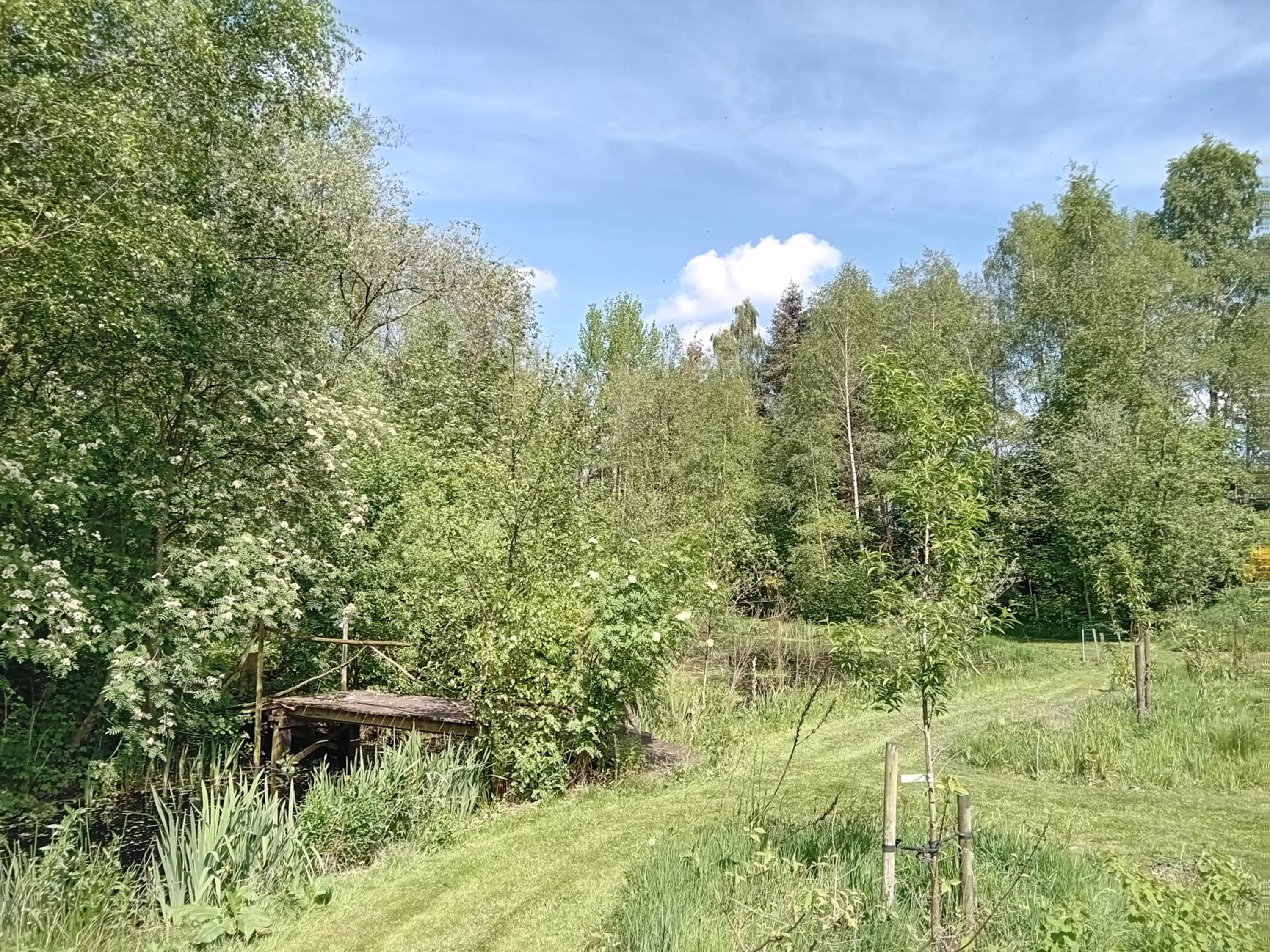 Huys Welgelegen Ruim huisje op een prachtige plek view 3