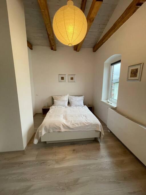Schicke 3 Zimmer Wohnung in Kühlungsborn