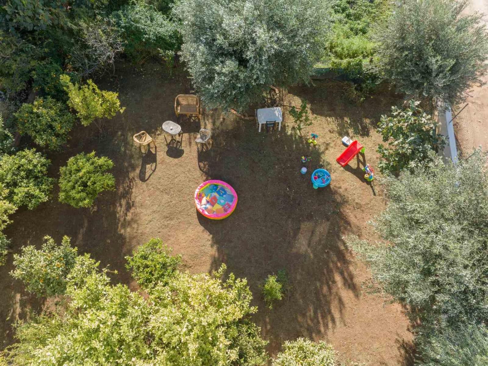 Anastasia's lemon garden photo 2