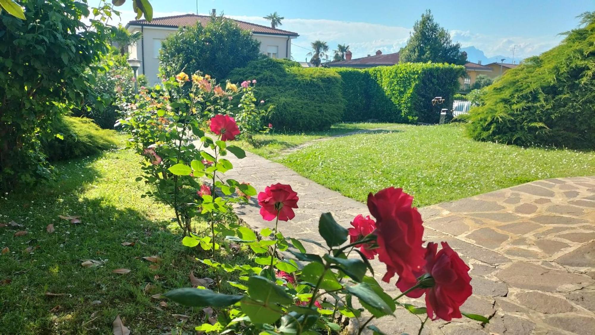 Casa Viale Delle Rose photo 5