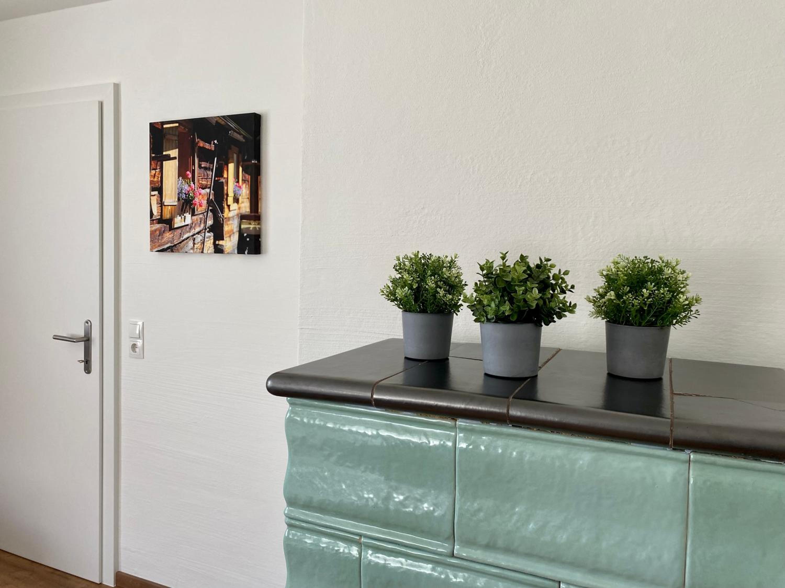 Appartements Wieseneck - Ramsau am Dachstein - inklusive Sommercard!