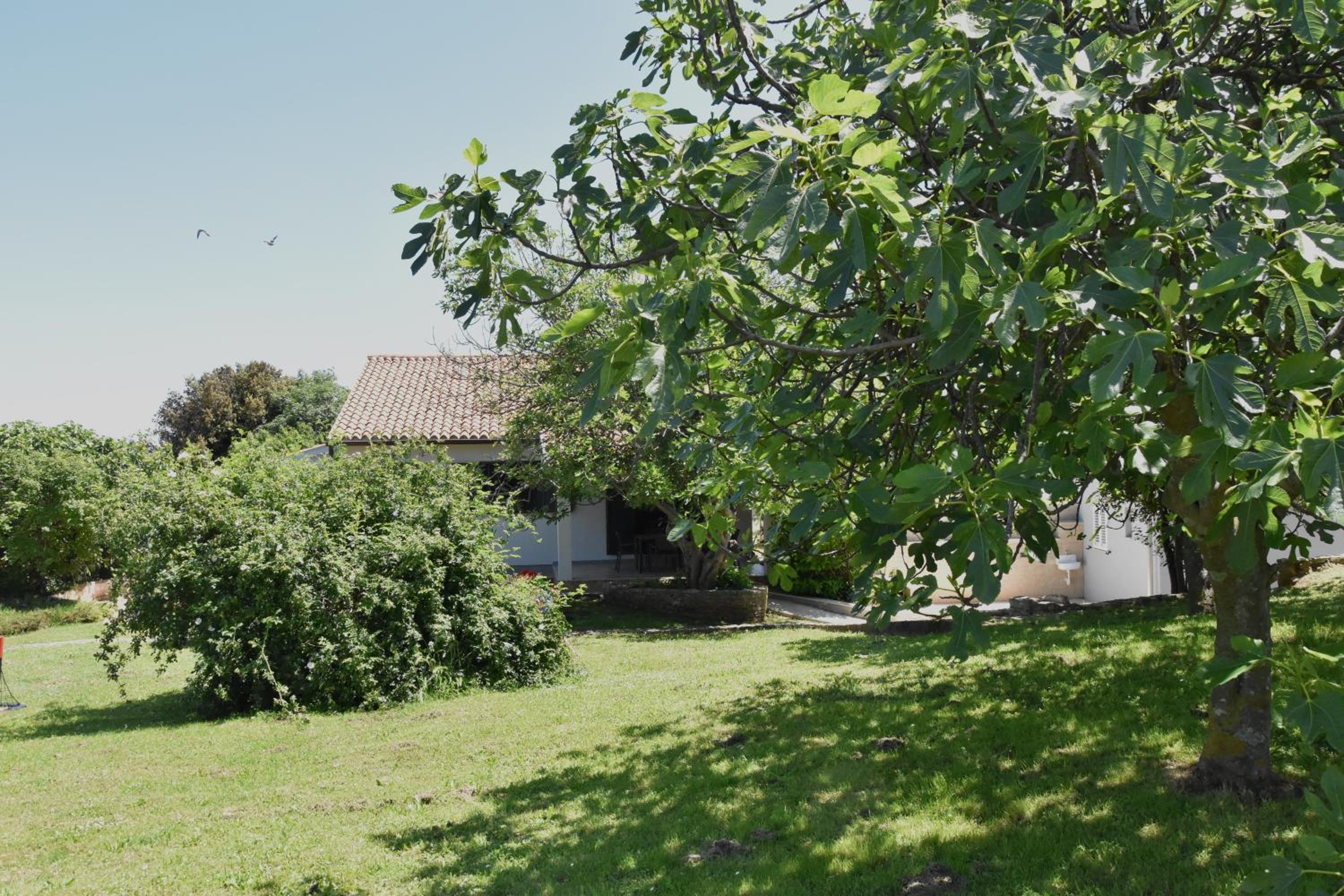 Vacation home Pula view 4