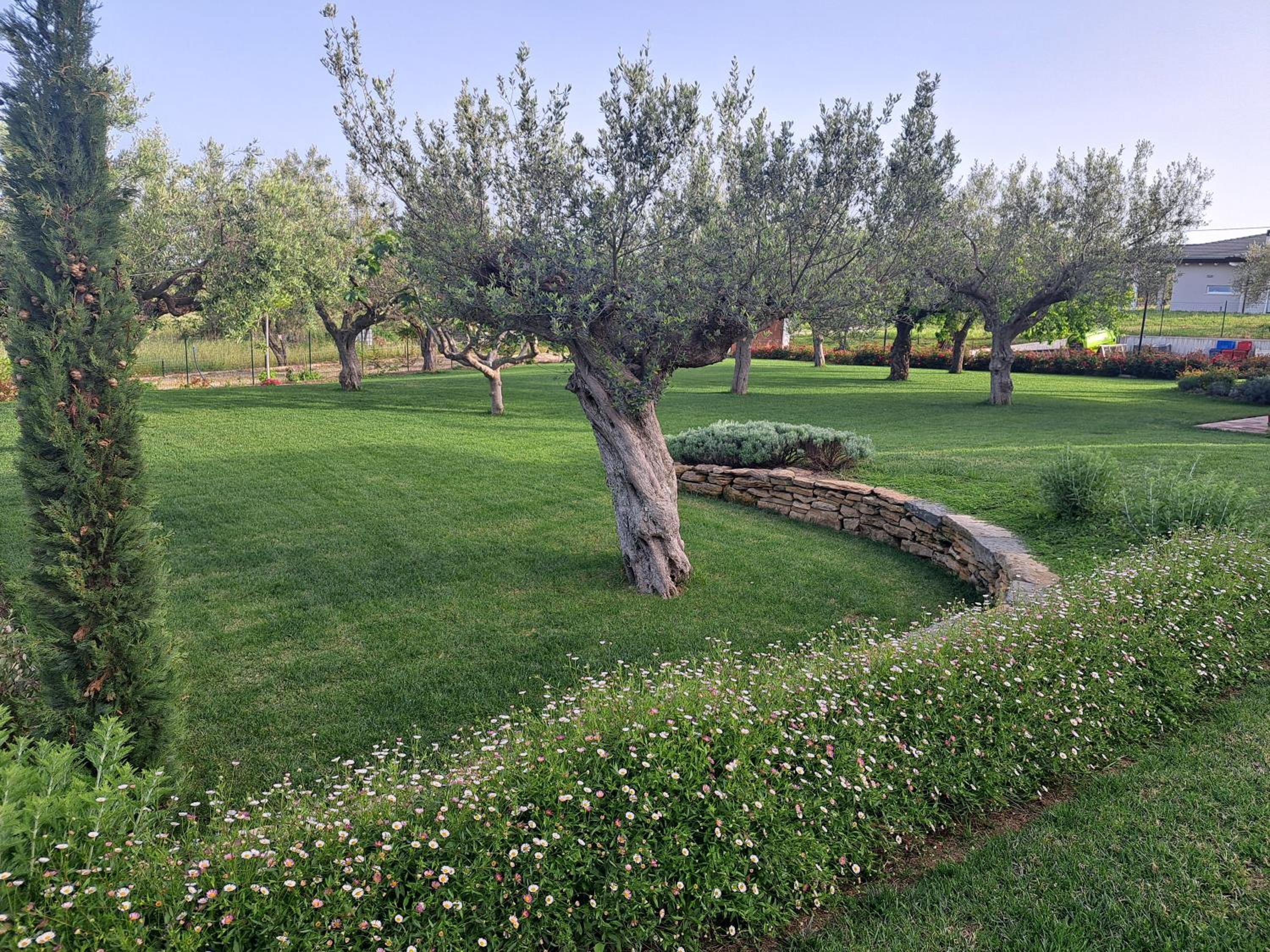 Tenuta Porello