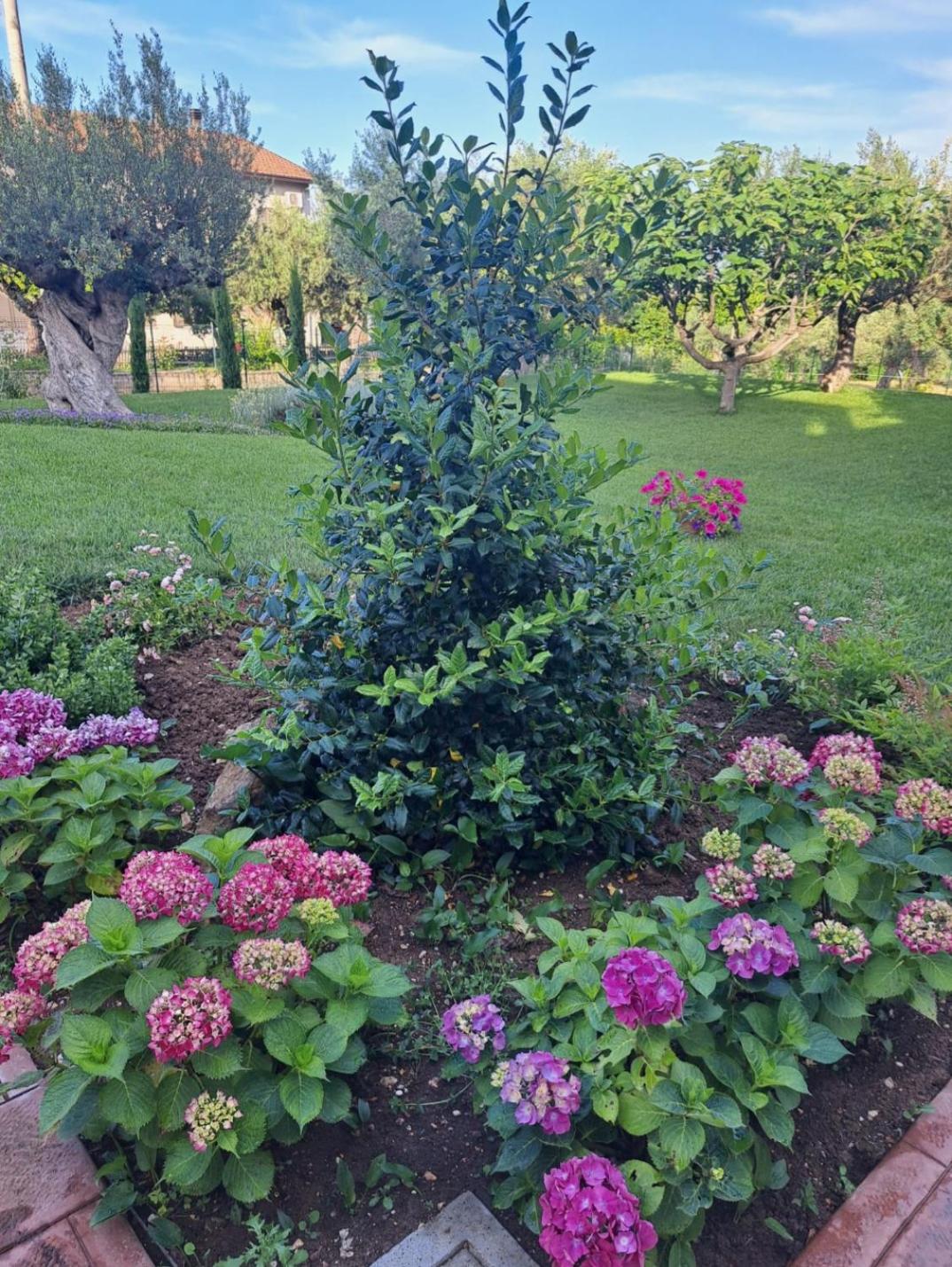 Tenuta Porello