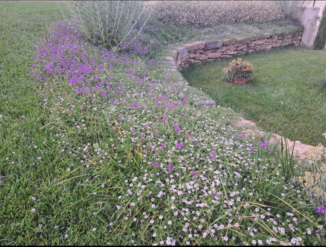 Tenuta Porello