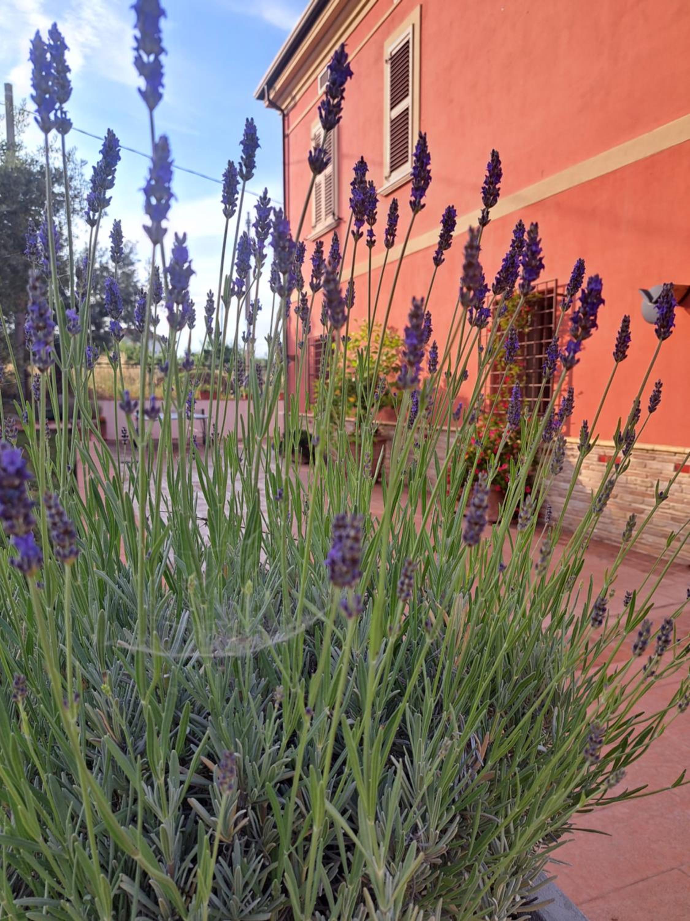 Tenuta Porello