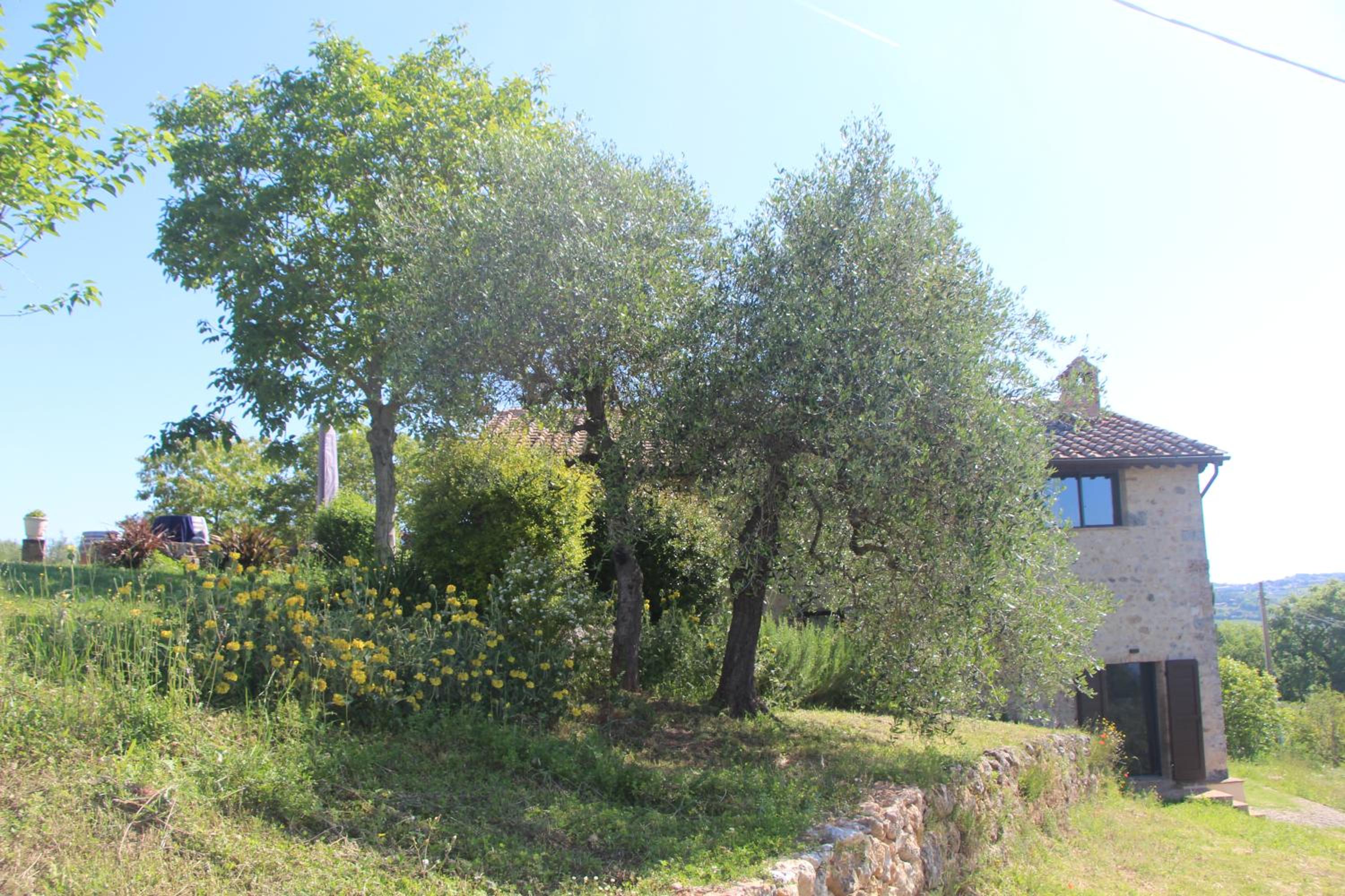 Photo 41
