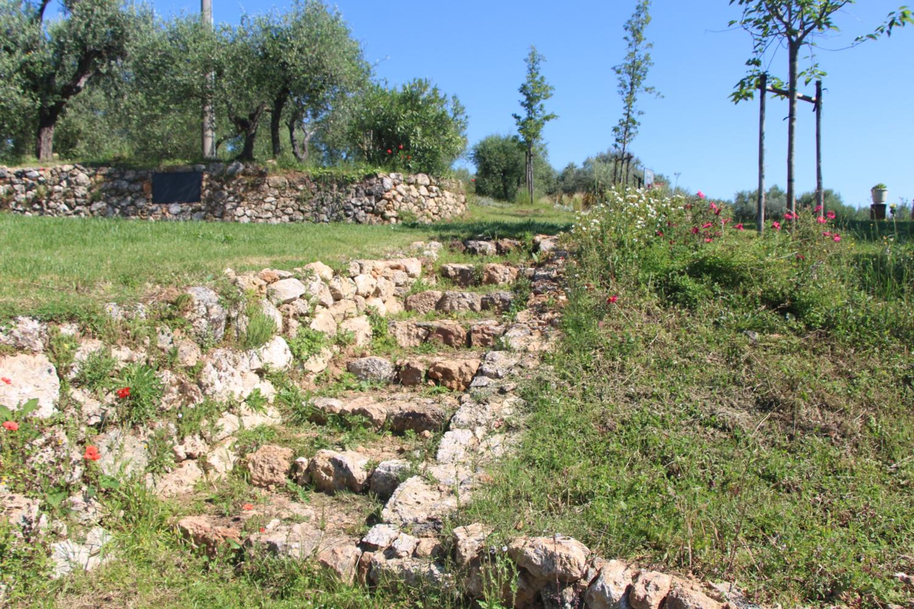 Photo 40